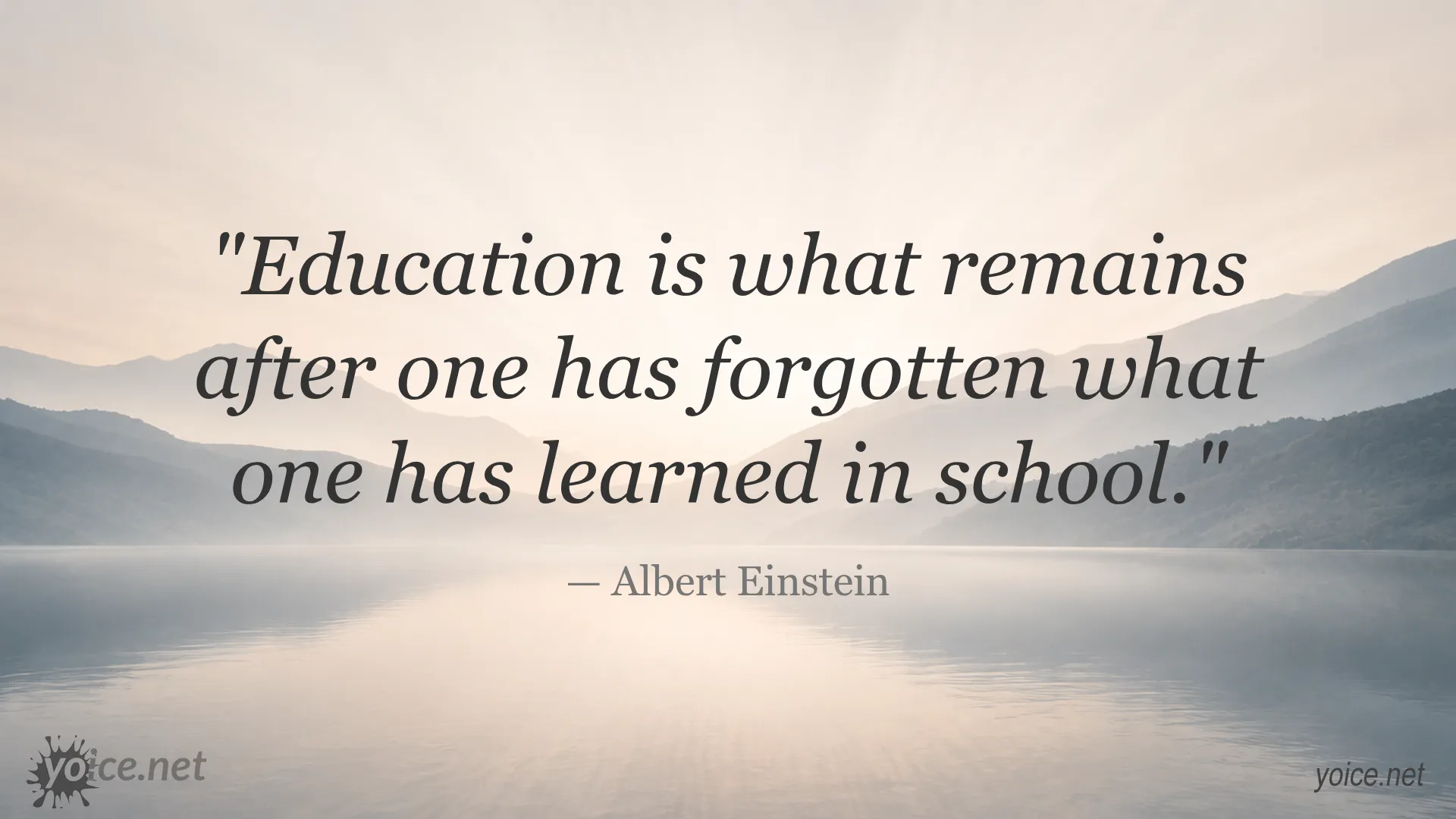 Albert Einstein quote about education and learning