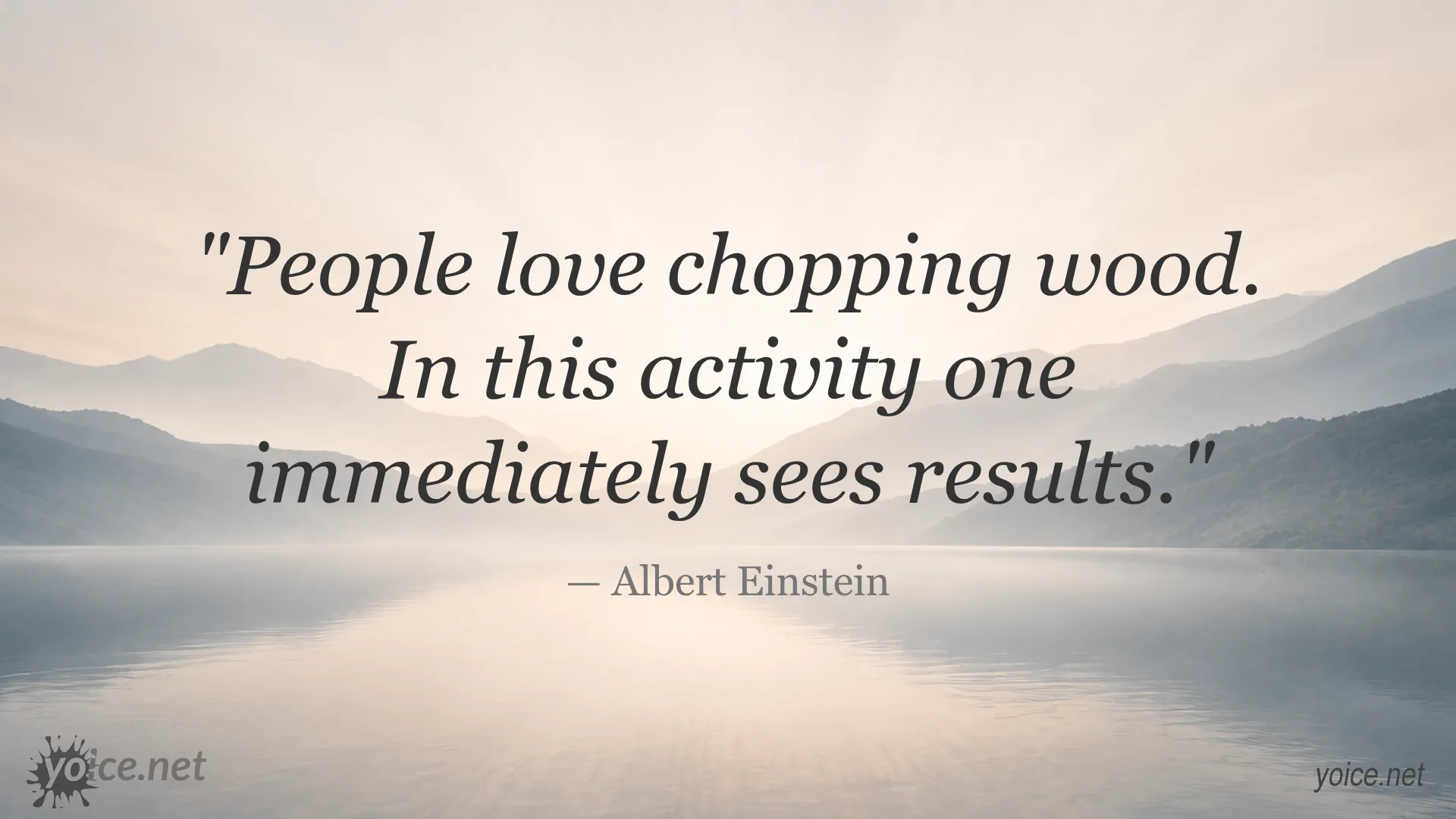 Albert Einstein quote about chopping wood and seeing results