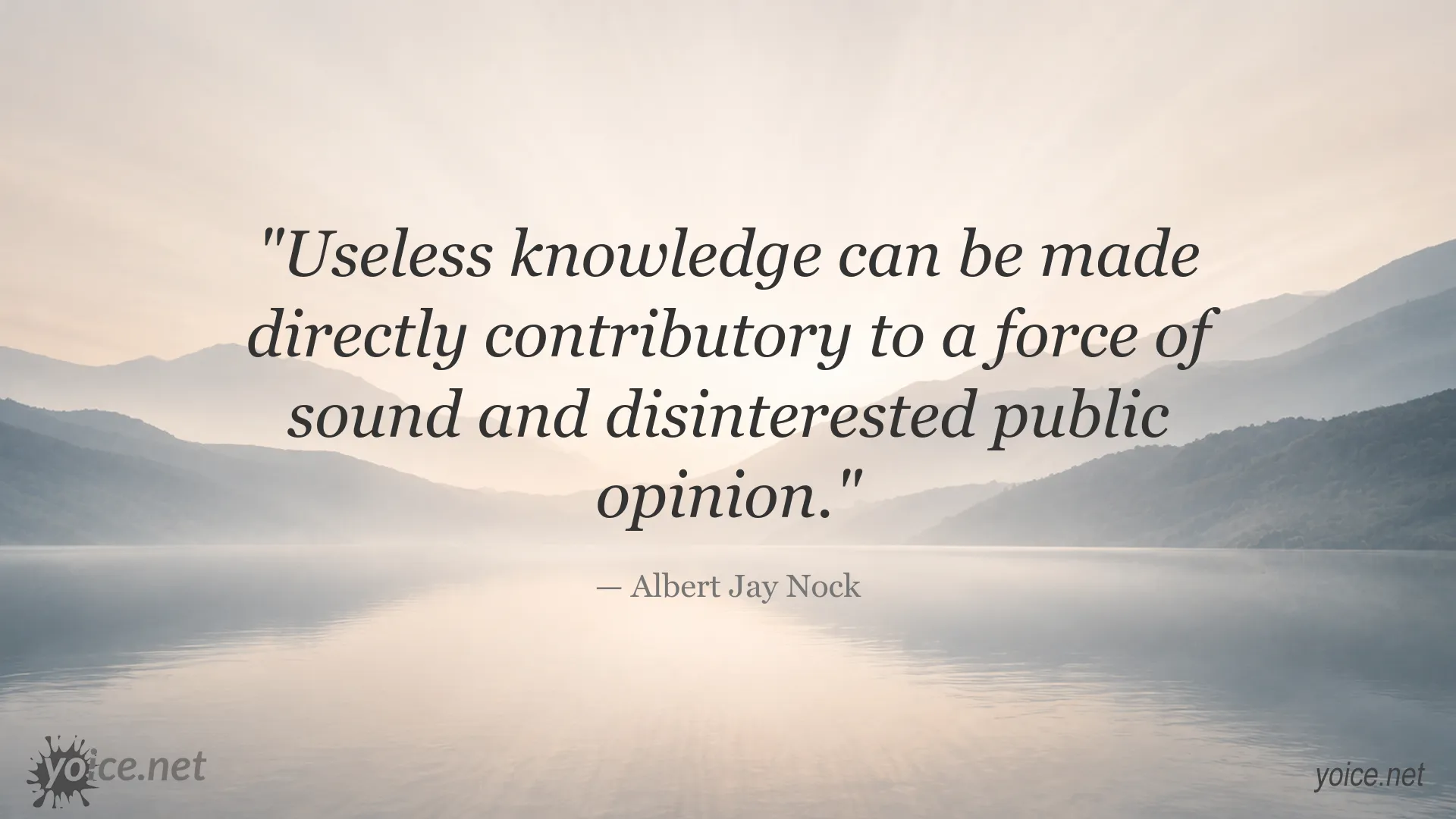 Albert Jay Nock quote image about useless knowledge and public opinion