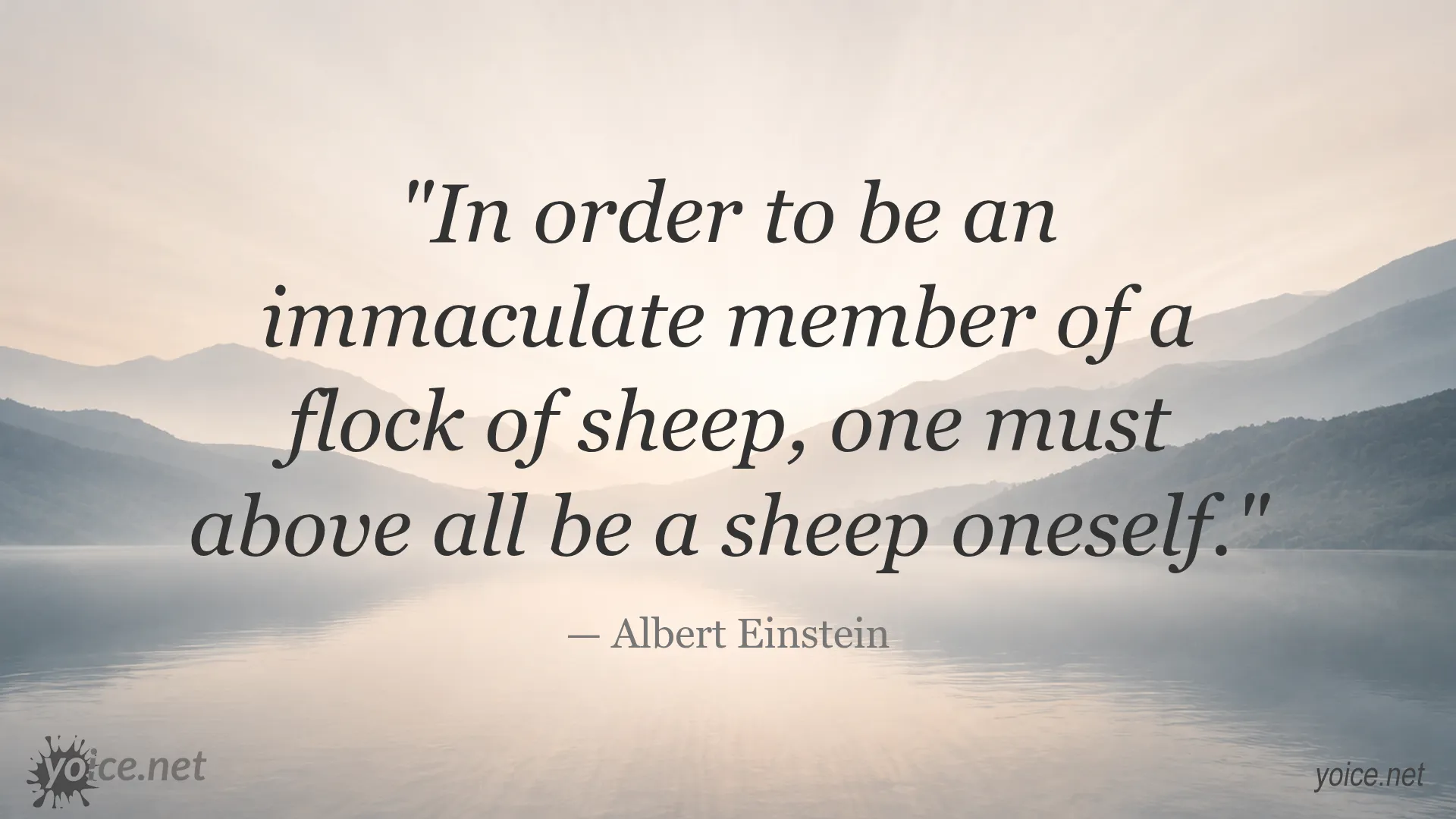 Albert Einstein quote on being an immaculate member of a flock of sheep