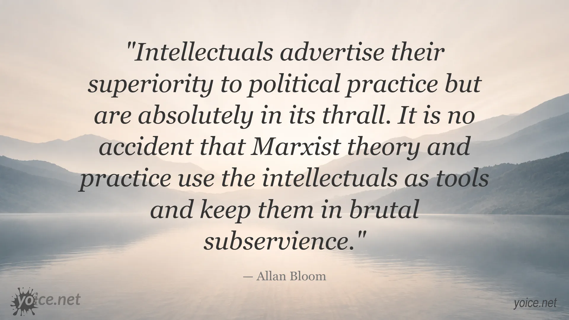 Allan Bloom quote about intellectuals and political practice