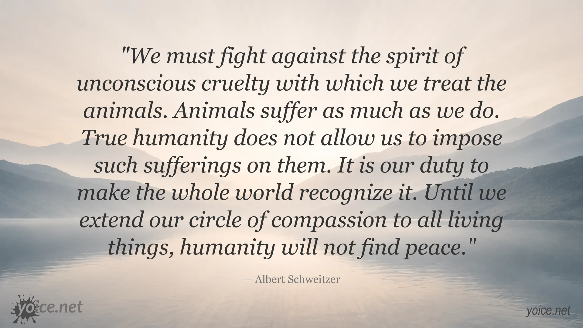 Animal protection and compassion quote image by Albert Schweitzer