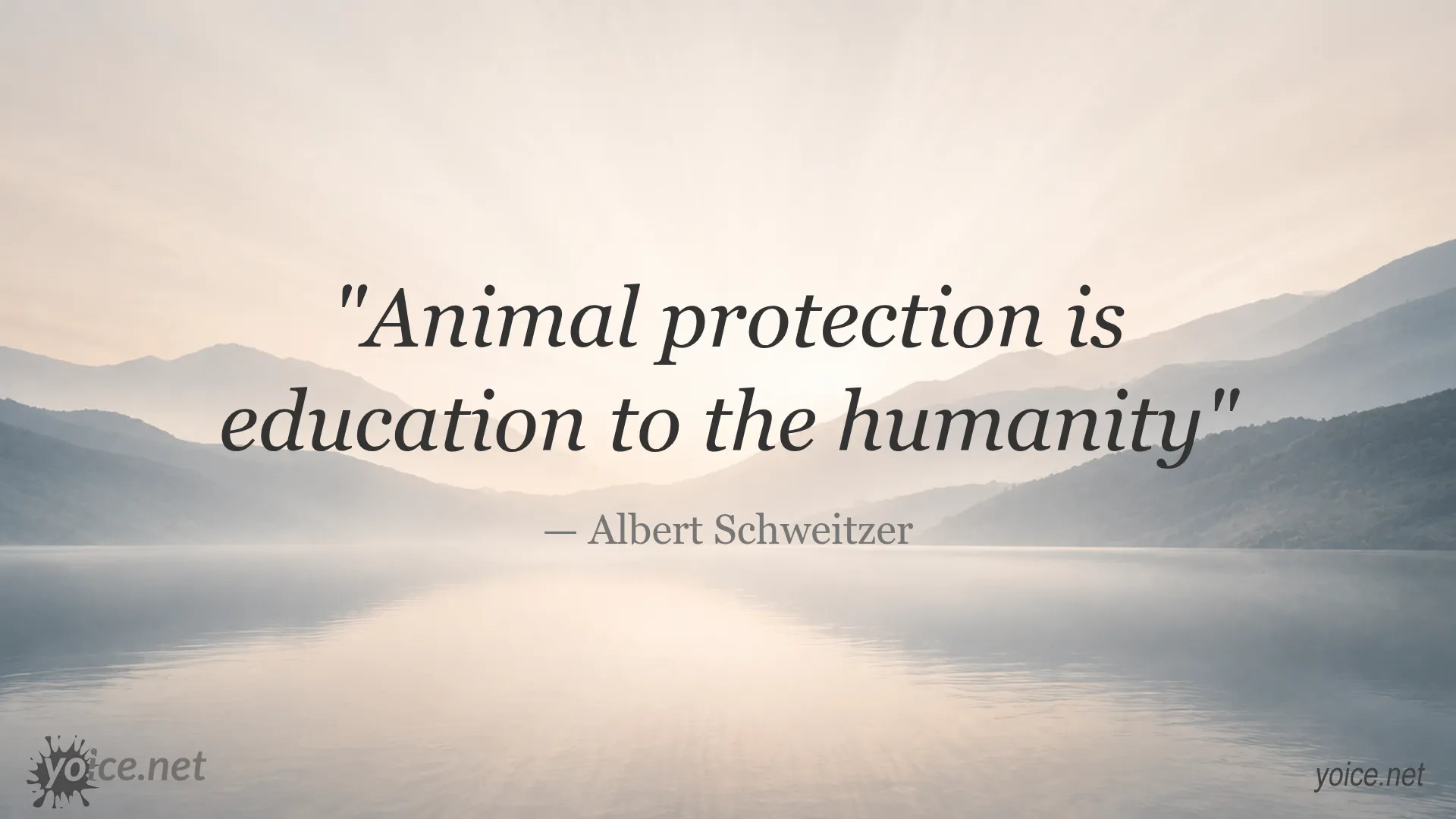 Quote by Albert Schweitzer about animal protection and humanity