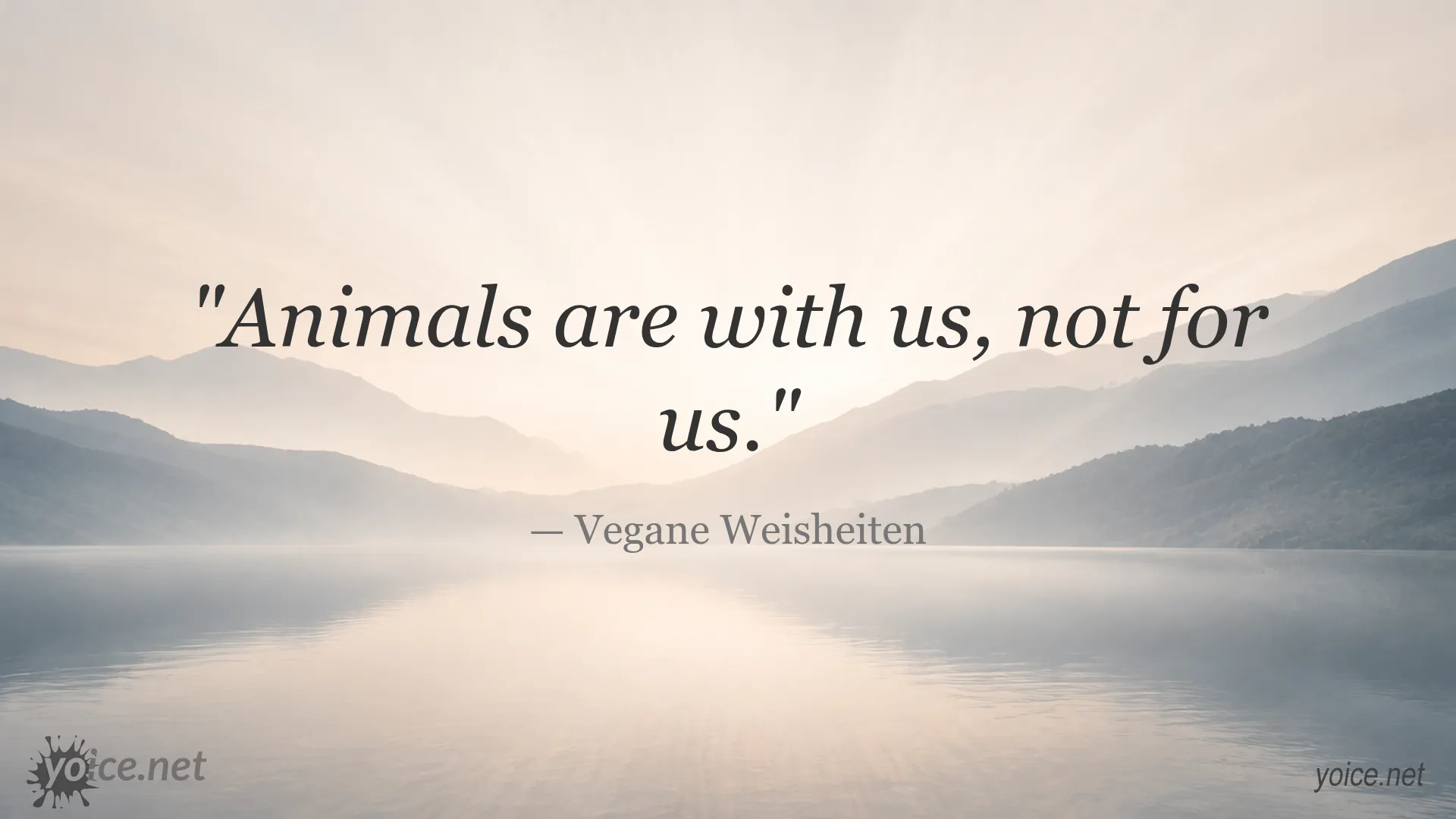 Quote by Vegane Weisheiten saying Animals are with us, not for us