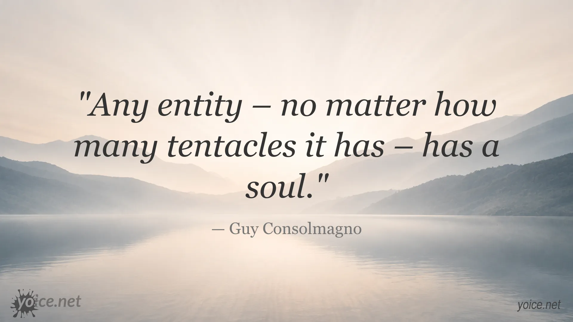 Quote image attributed to Guy Consolmagno about the soul of every entity
