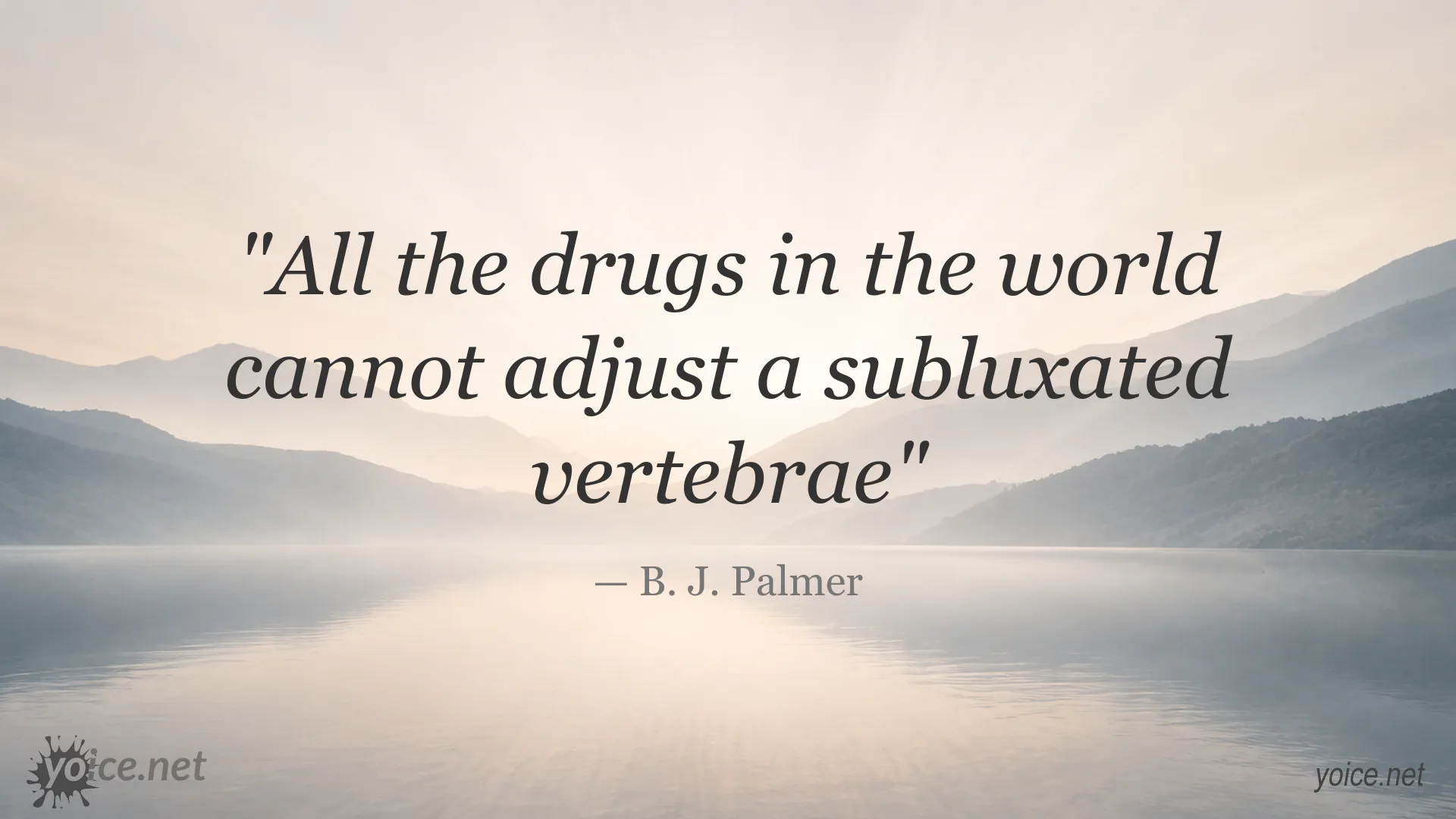 Quote image attributed to B. J. Palmer about drugs and a subluxated vertebra