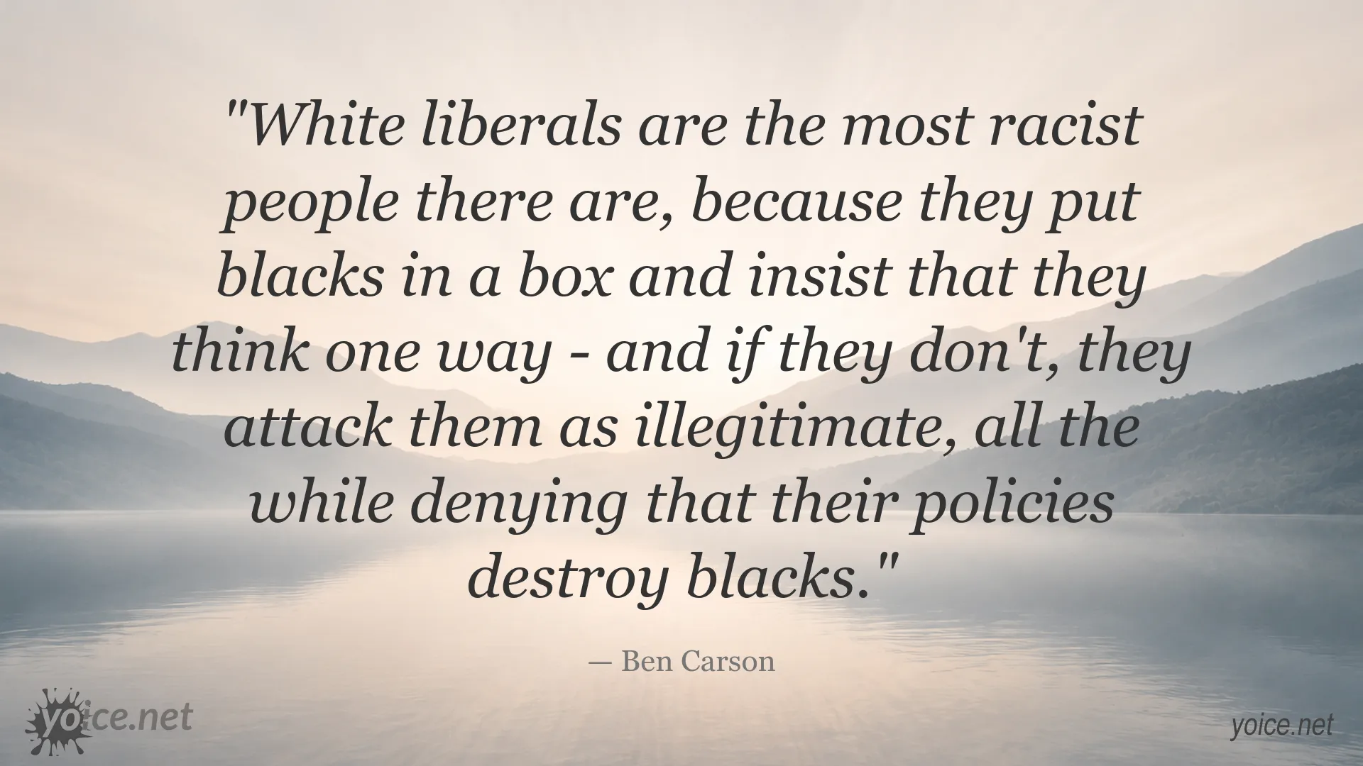 Ben Carson quote about racism and political identity