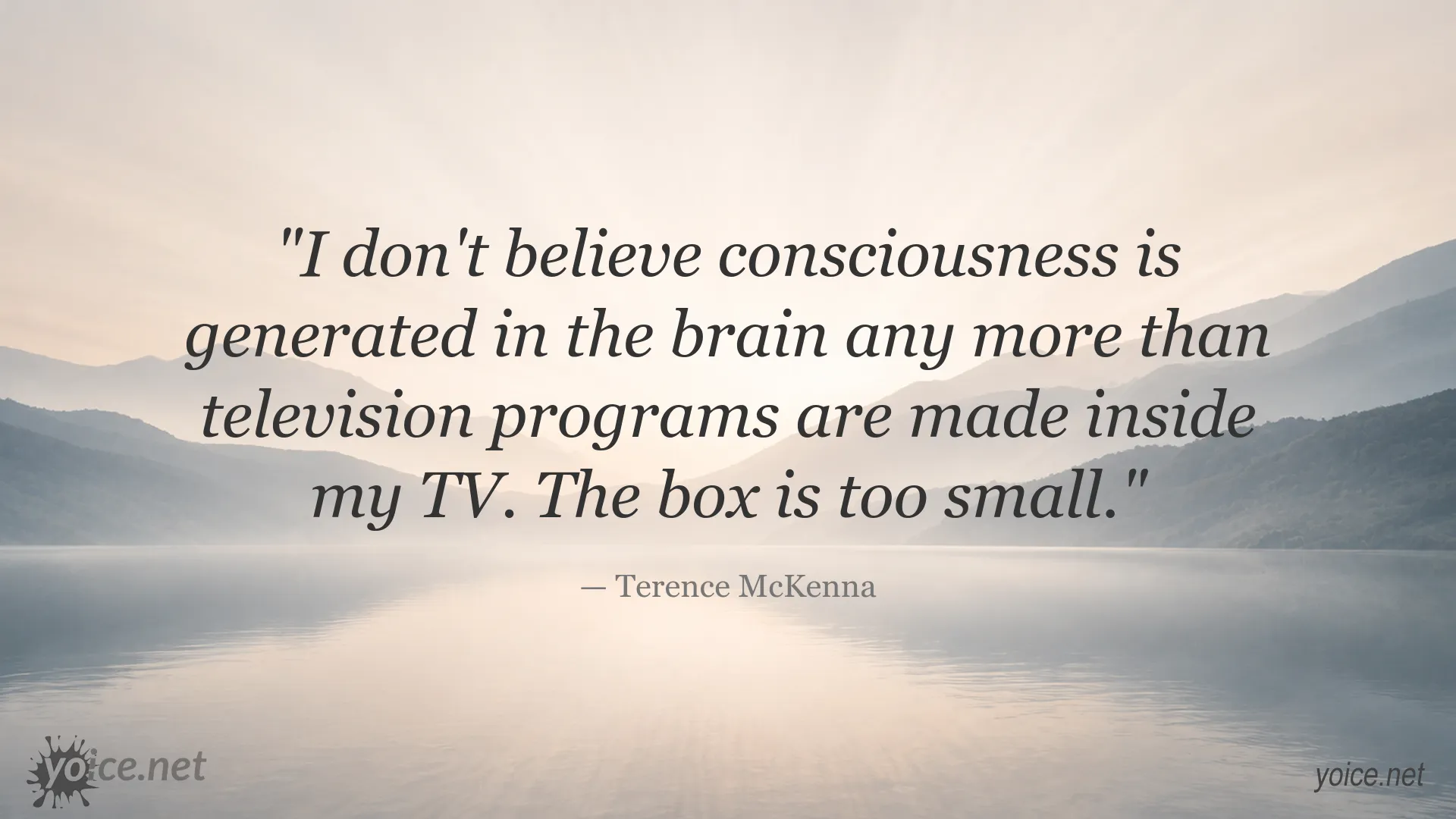Terence McKenna quote about consciousness and the brain