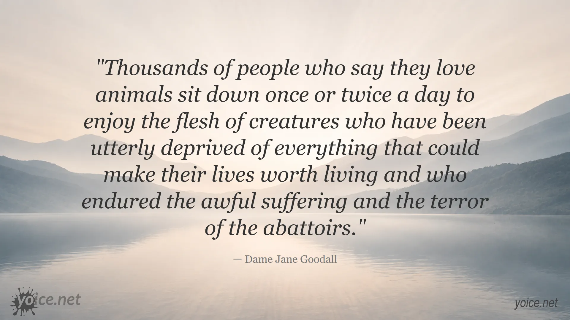 Quote by Dame Jane Goodall about animal suffering and ethical concern