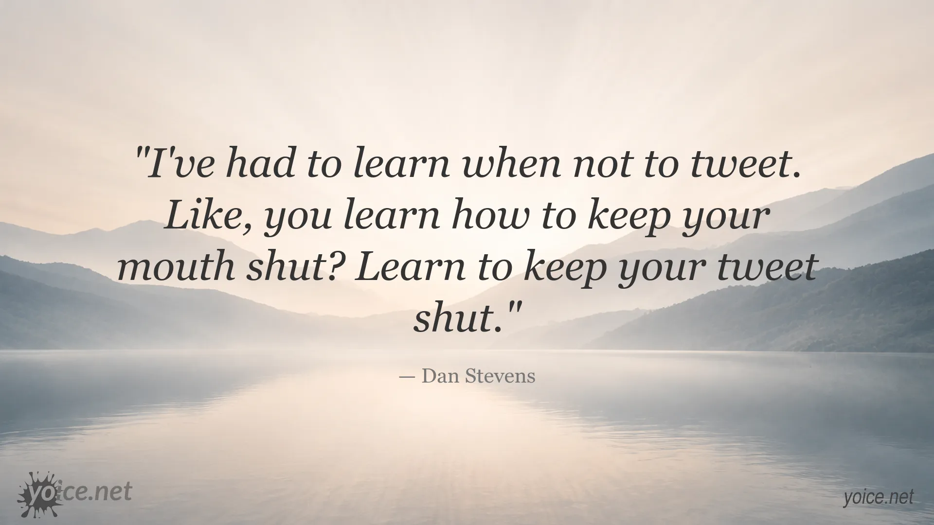 Dan Stevens quote about discretion and knowing when not to tweet