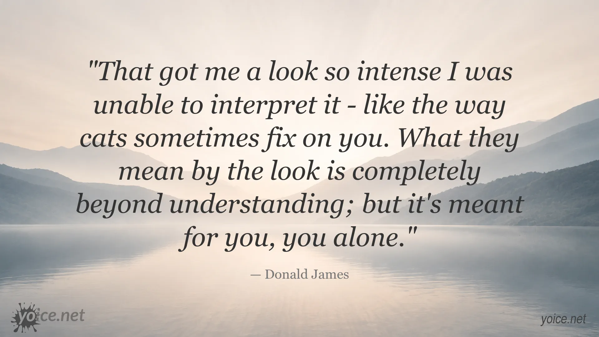 Donald James quote image about an intense, mysterious look from someone special