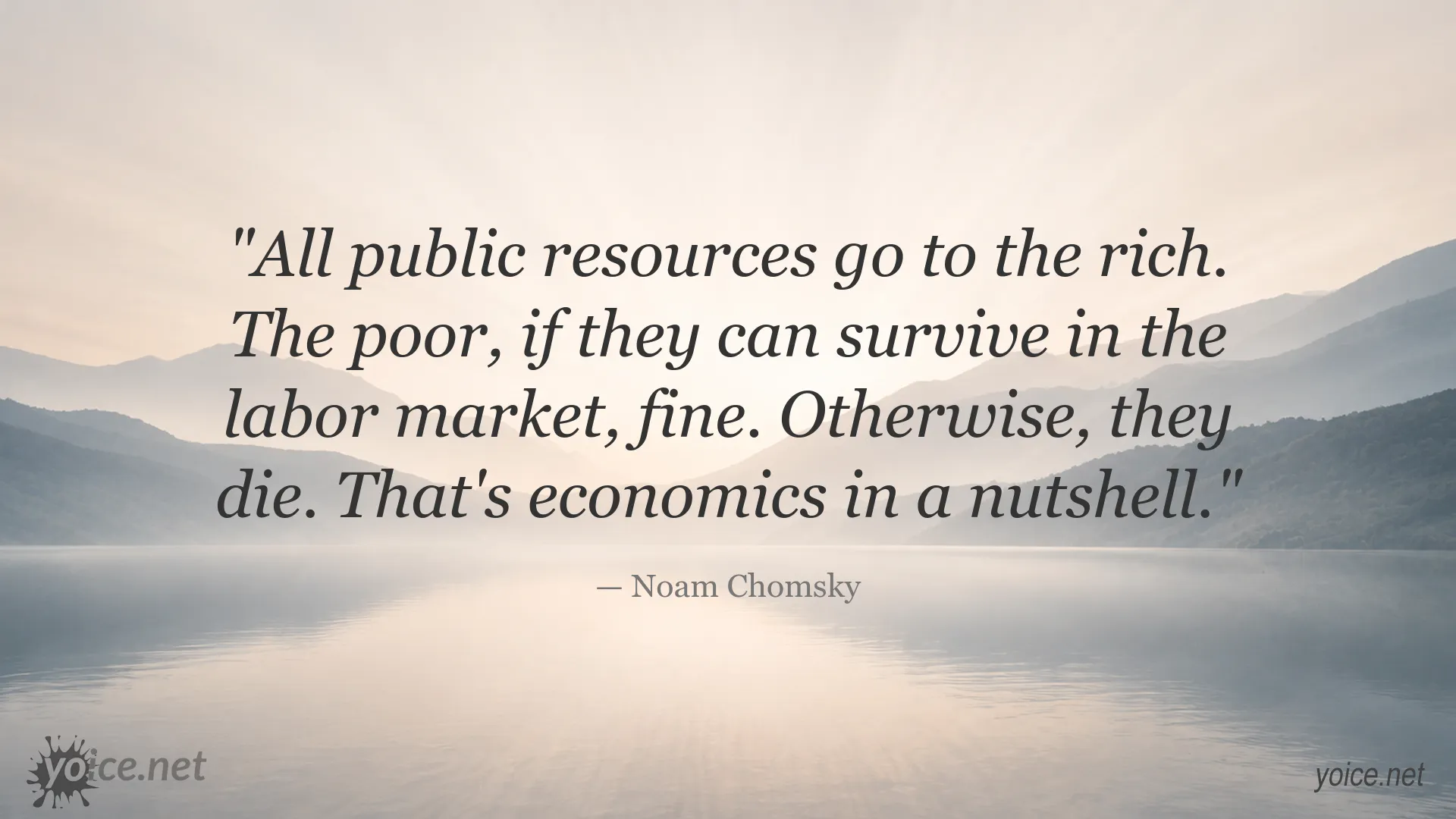 Noam Chomsky quote about economics and inequality