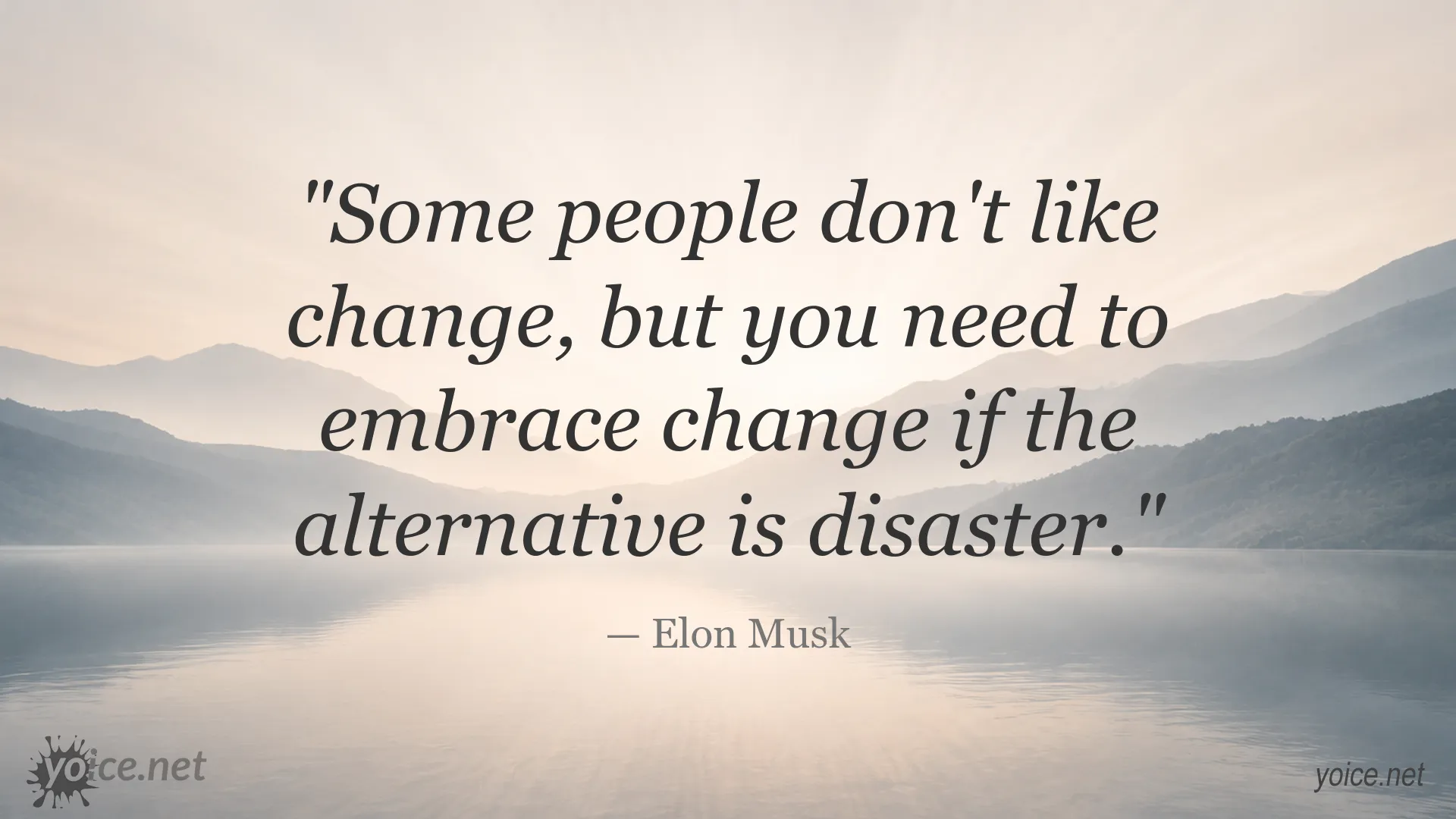 Inspirational Elon Musk quote image about embracing change and avoiding disaster