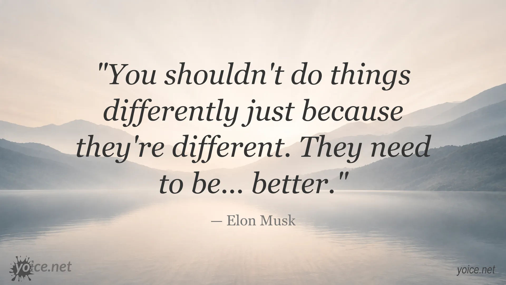 Elon Musk quote about making things better instead of changing them just because they are different