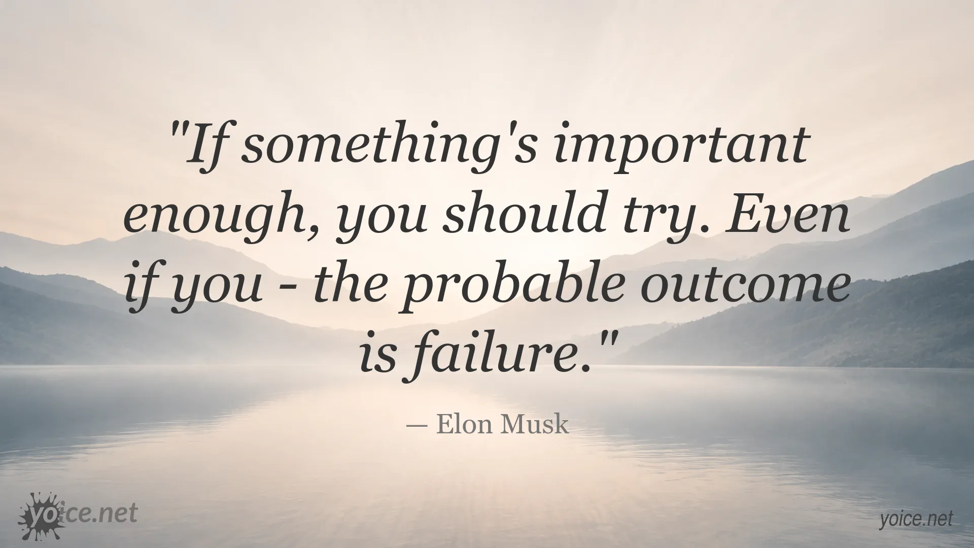 Elon Musk quote image about courage, perseverance, and trying despite the possibility of failure