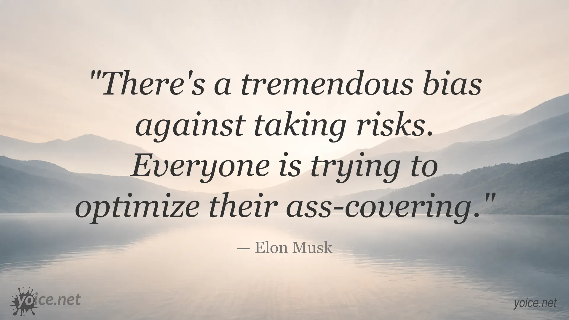 Elon Musk quote about risk aversion and self-protection