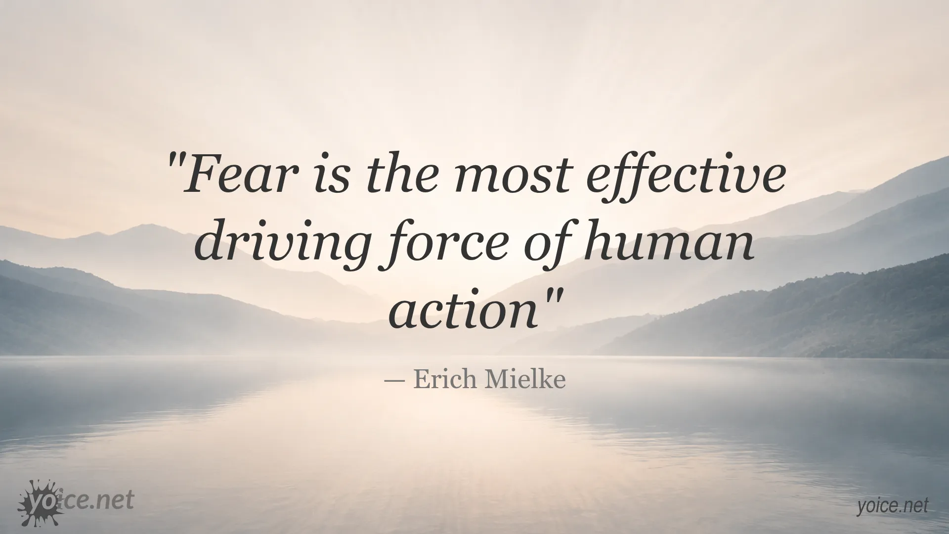Quote by Erich Mielke about fear being the most effective driving force of human action