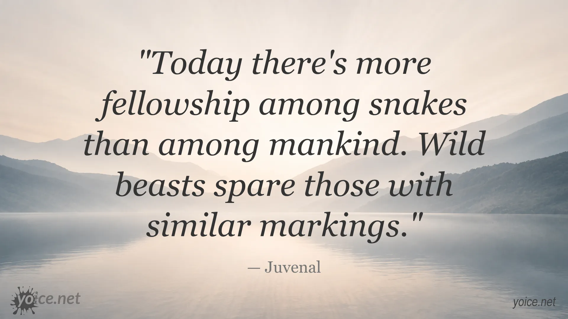 Quote about fellowship among snakes by Juvenal