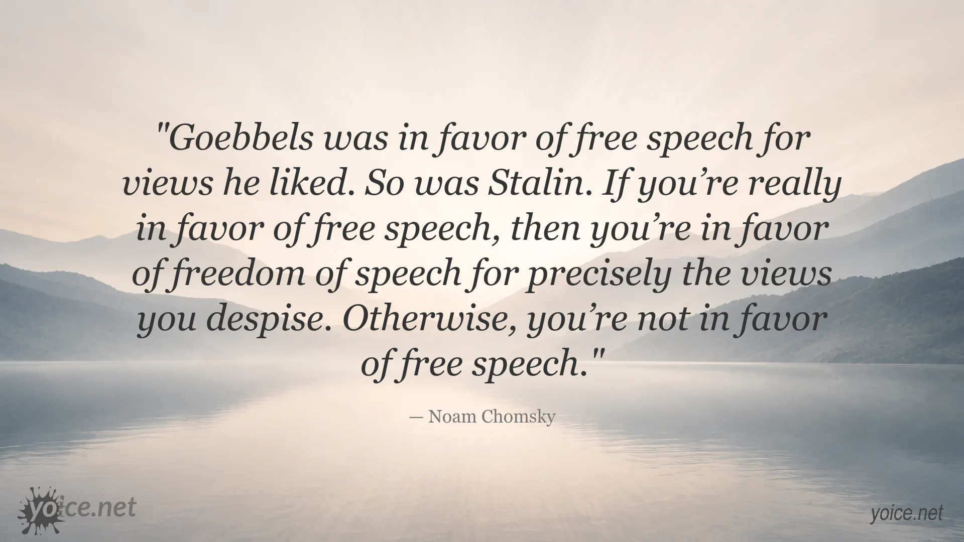 Noam Chomsky quote about freedom of speech for all views