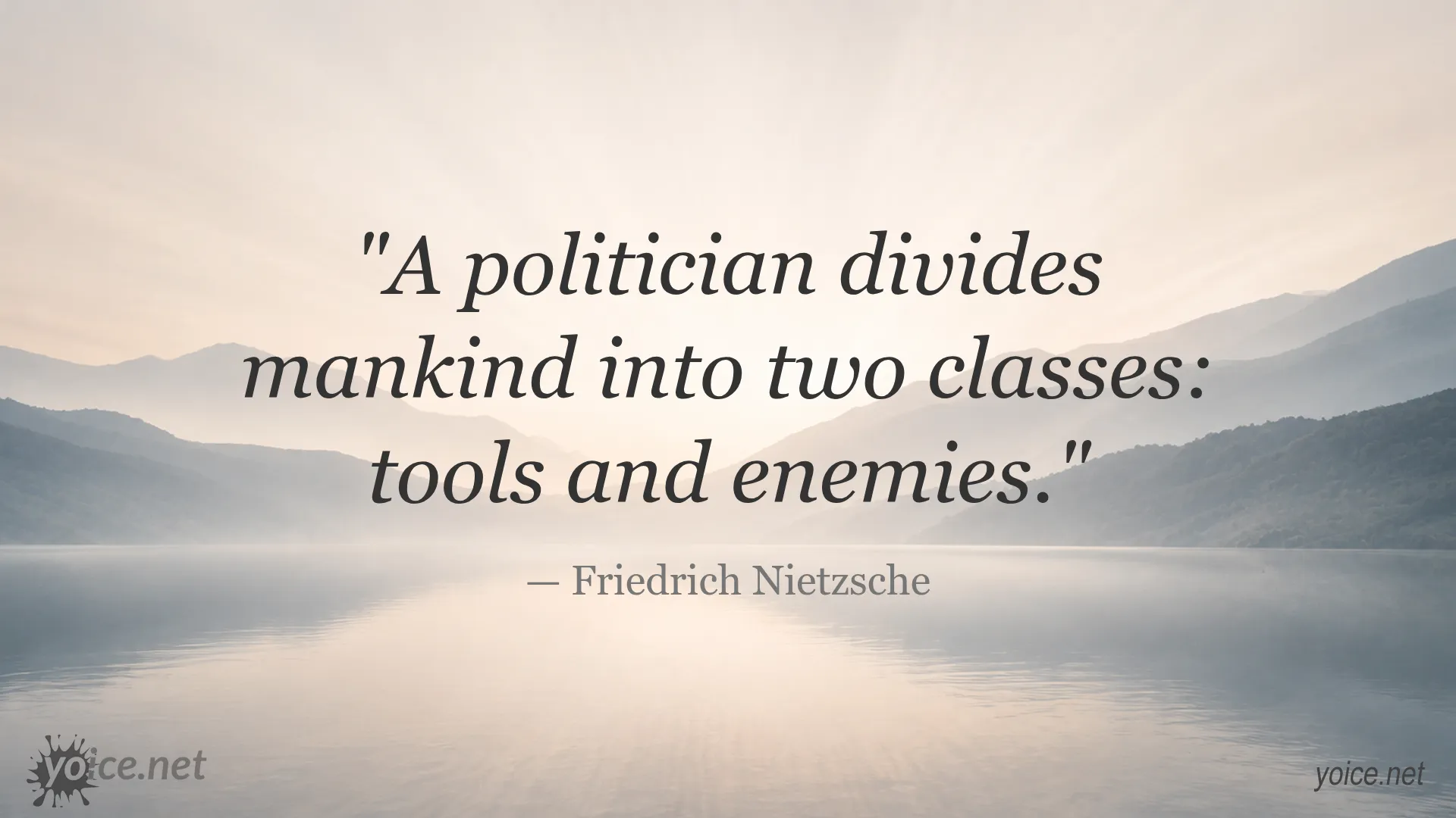 Friedrich Nietzsche quote image about politicians and human divisions