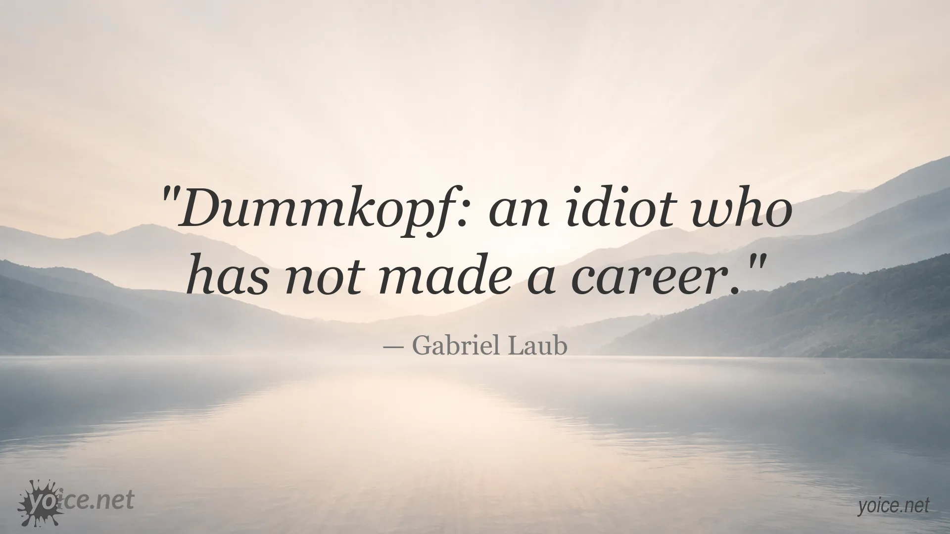 Gabriel Laub quote about a fool who has not made a career