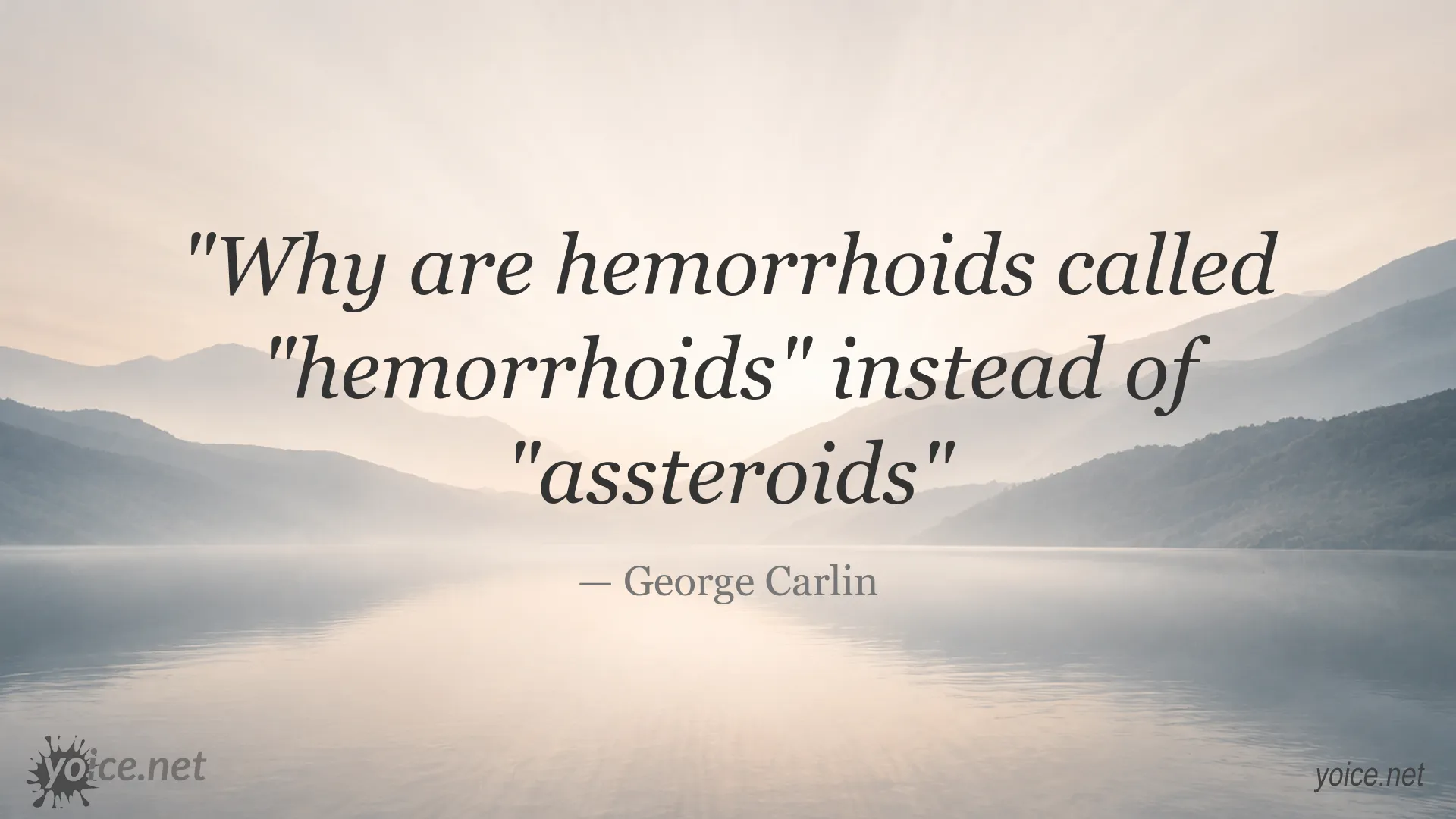 George Carlin quote image featuring humorous commentary about hemorrhoids