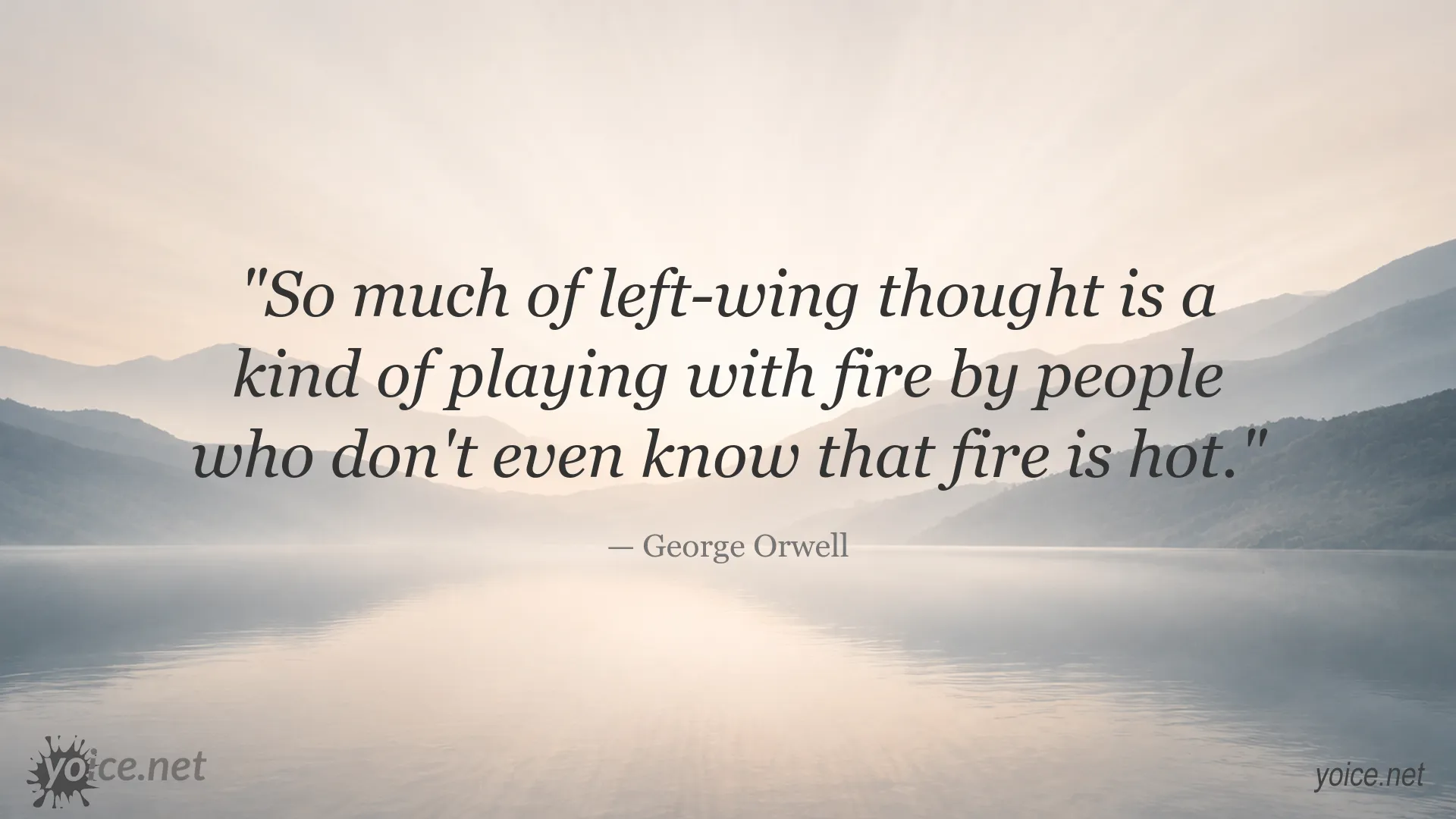 Quote image featuring George Orwell's perspective on left-wing thought