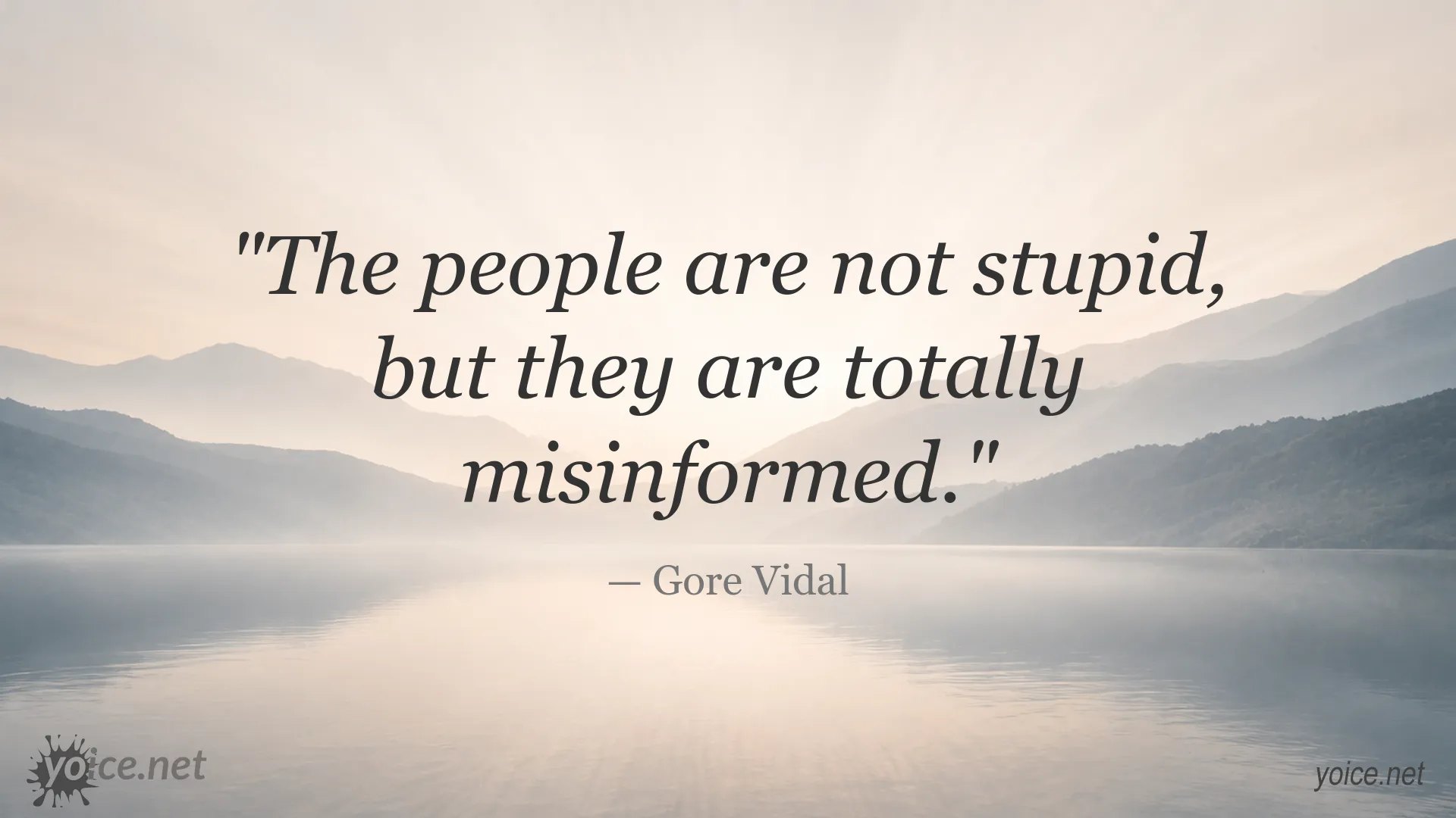 Gore Vidal quote about misinformation