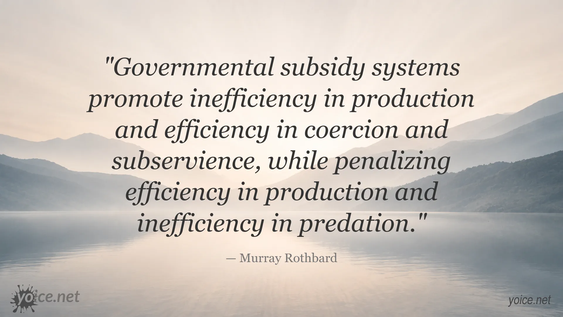 Murray Rothbard quote about government subsidies, production inefficiency, and coercion