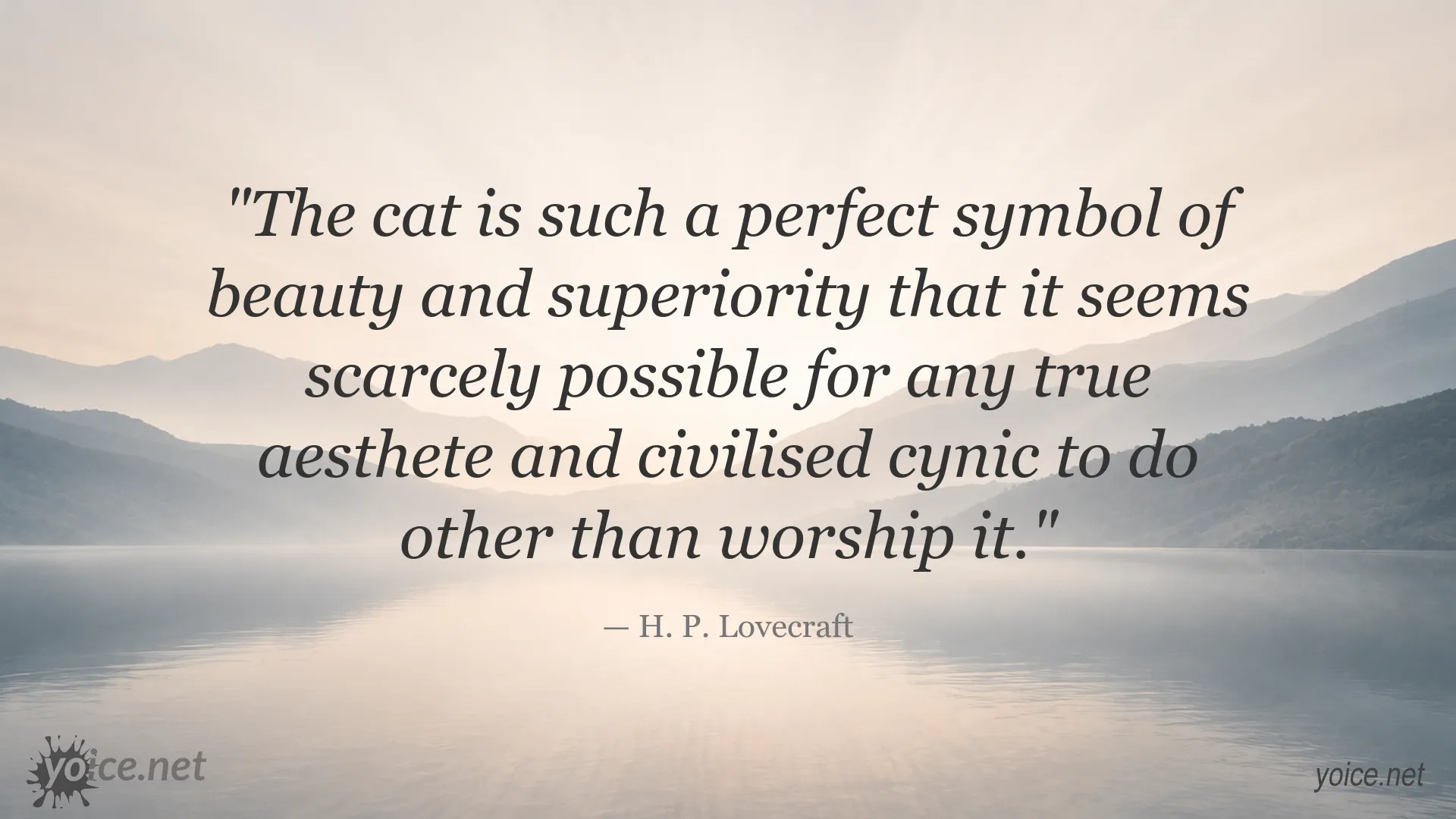 H. P. Lovecraft quote about cats as symbols of beauty and superiority