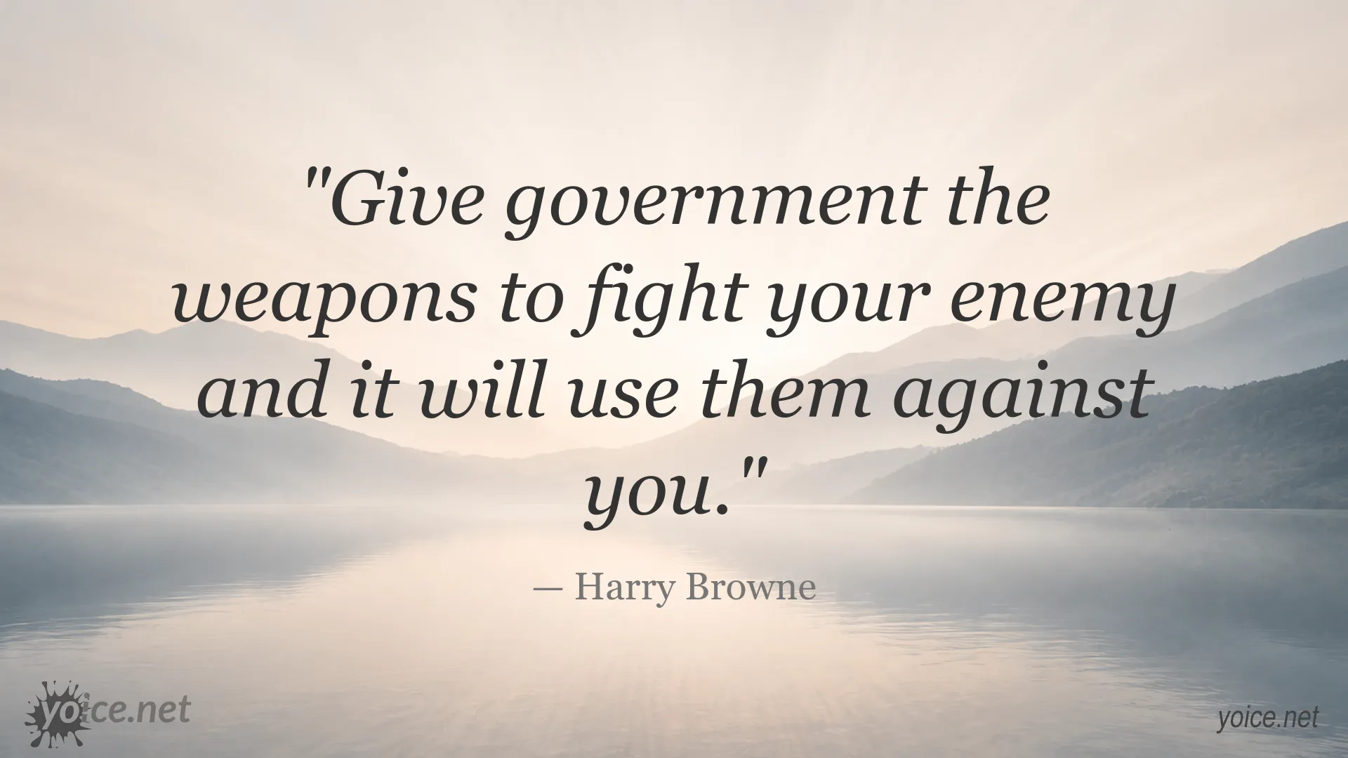 Quote image featuring Harry Browne's perspective on government power