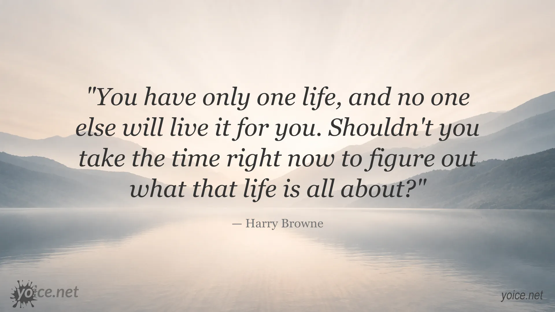Inspirational Harry Browne quote about finding meaning in life and living it for yourself