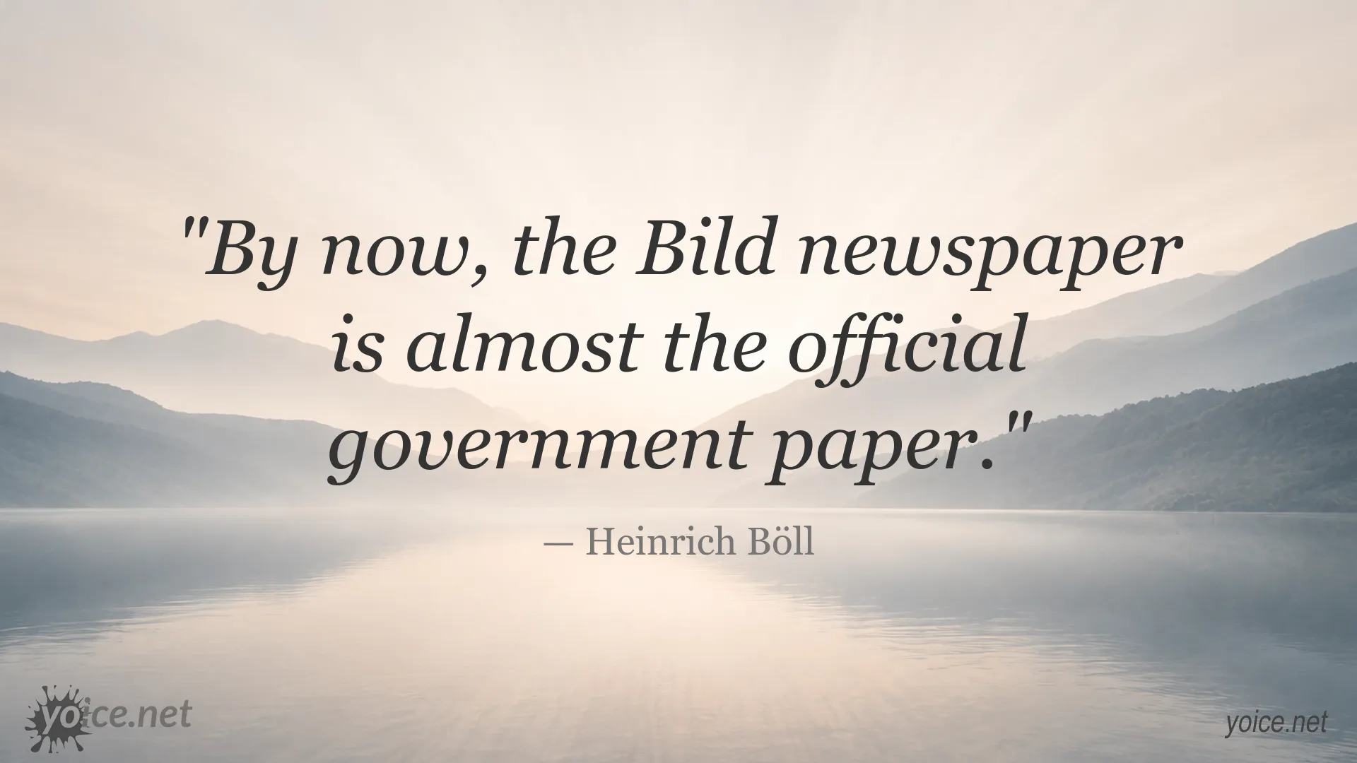 Heinrich Böll quote image about Bild newspaper and government