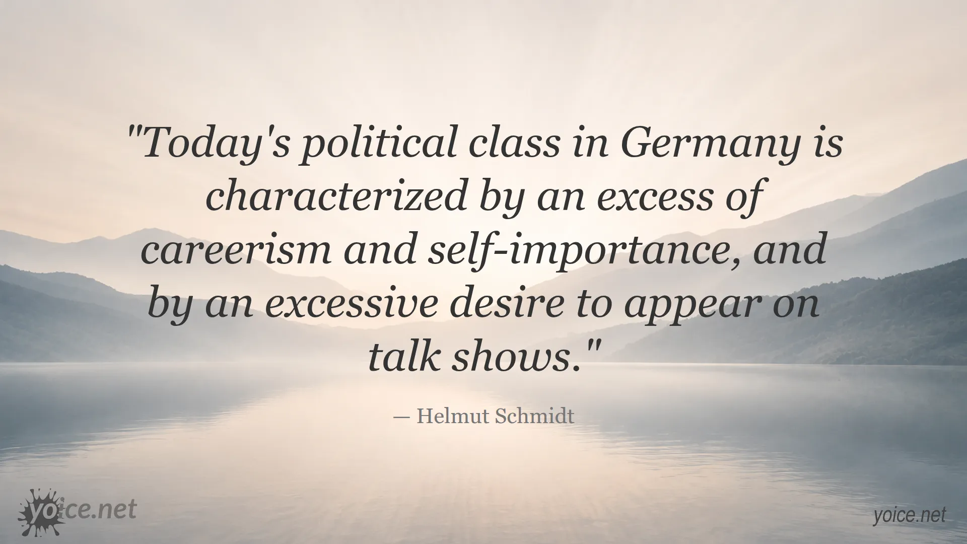 Quote by Helmut Schmidt about careerism and talk shows in German politics