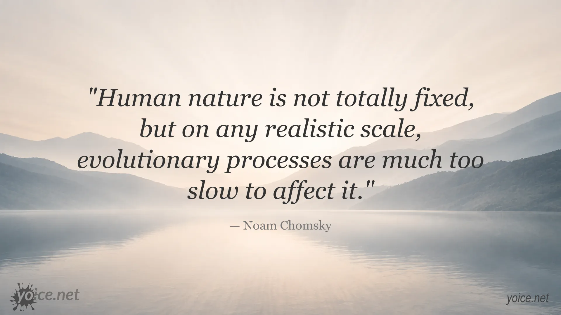Noam Chomsky quote about human nature and evolutionary change