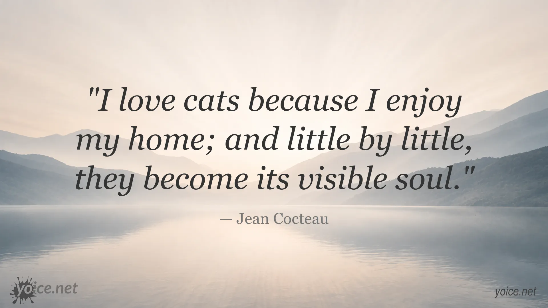 Quote image featuring a cat quote by Jean Cocteau