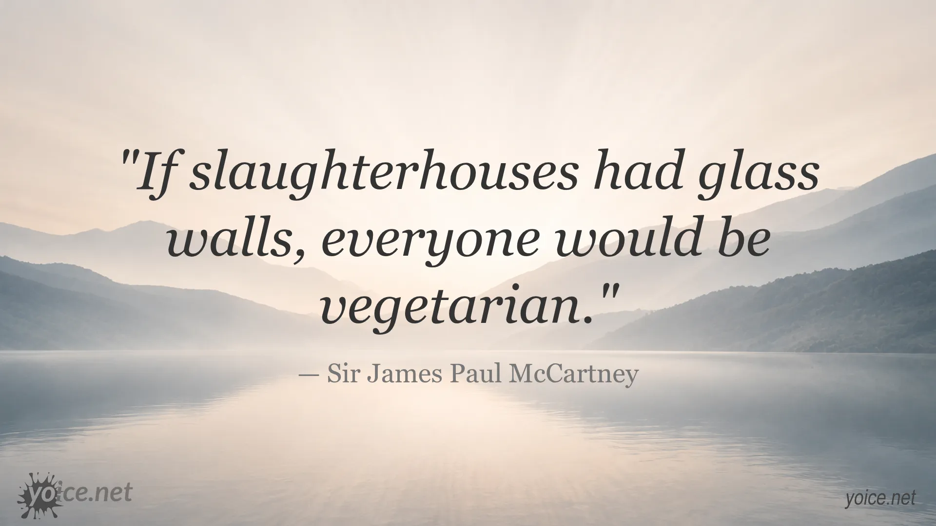 Quote by Sir James Paul McCartney about slaughterhouses and vegetarianism