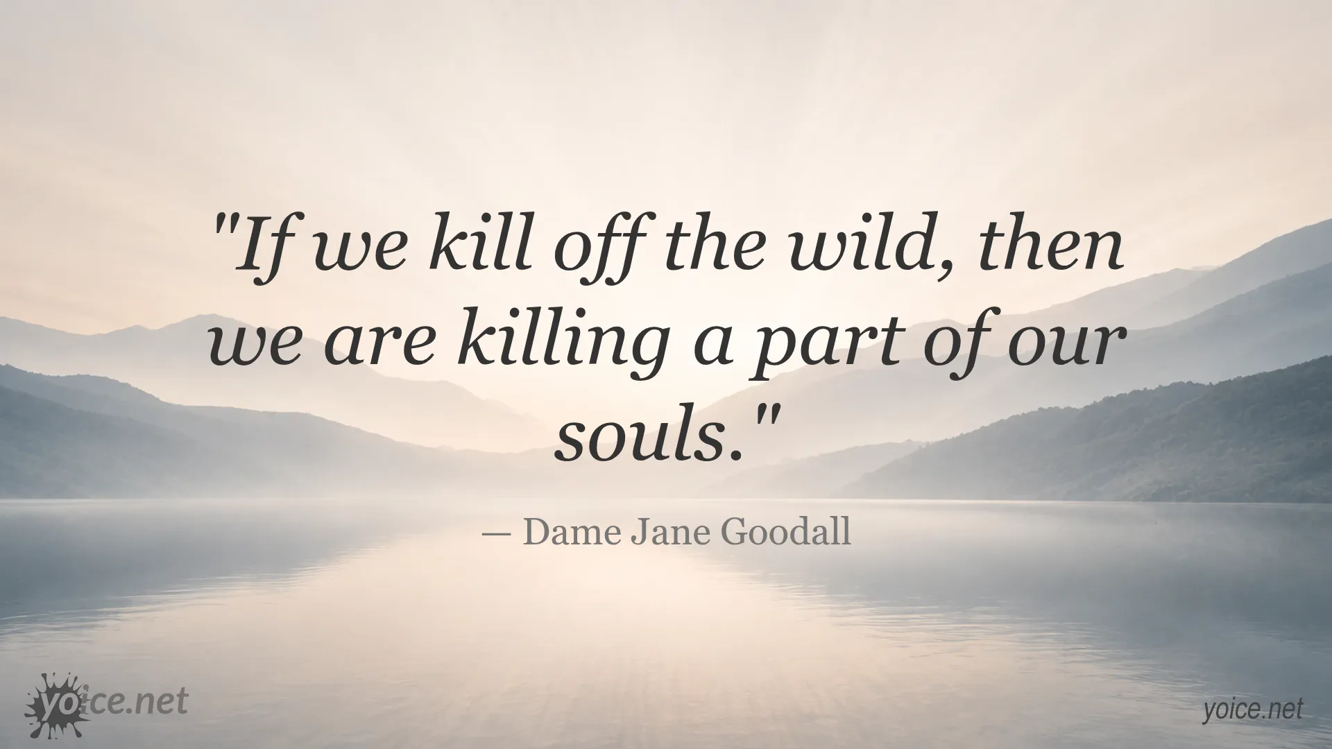 Quote about preserving the wild by Dame Jane Goodall