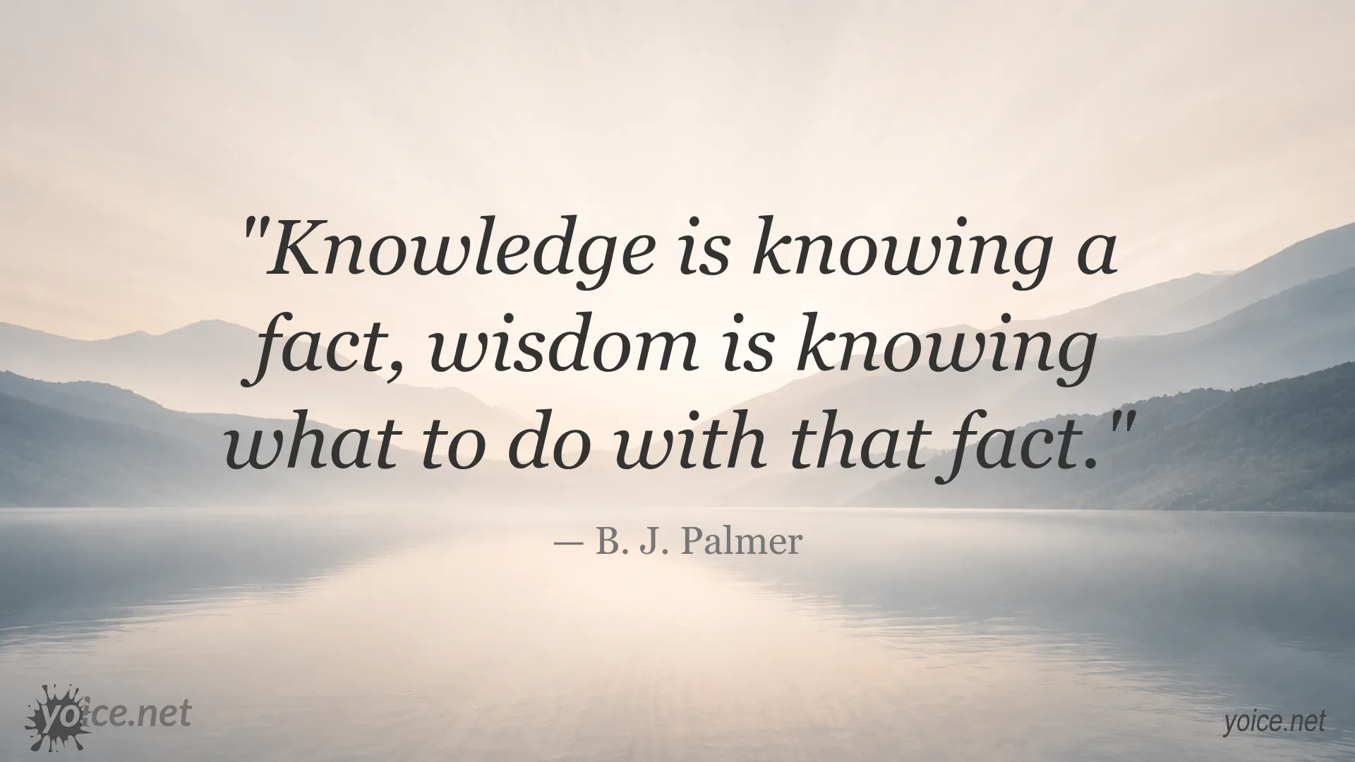 Knowledge and wisdom quote graphic attributed to B. J. Palmer