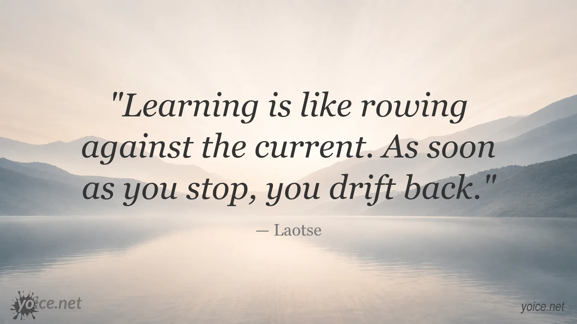 Quote by Laotse about learning being like rowing against the current