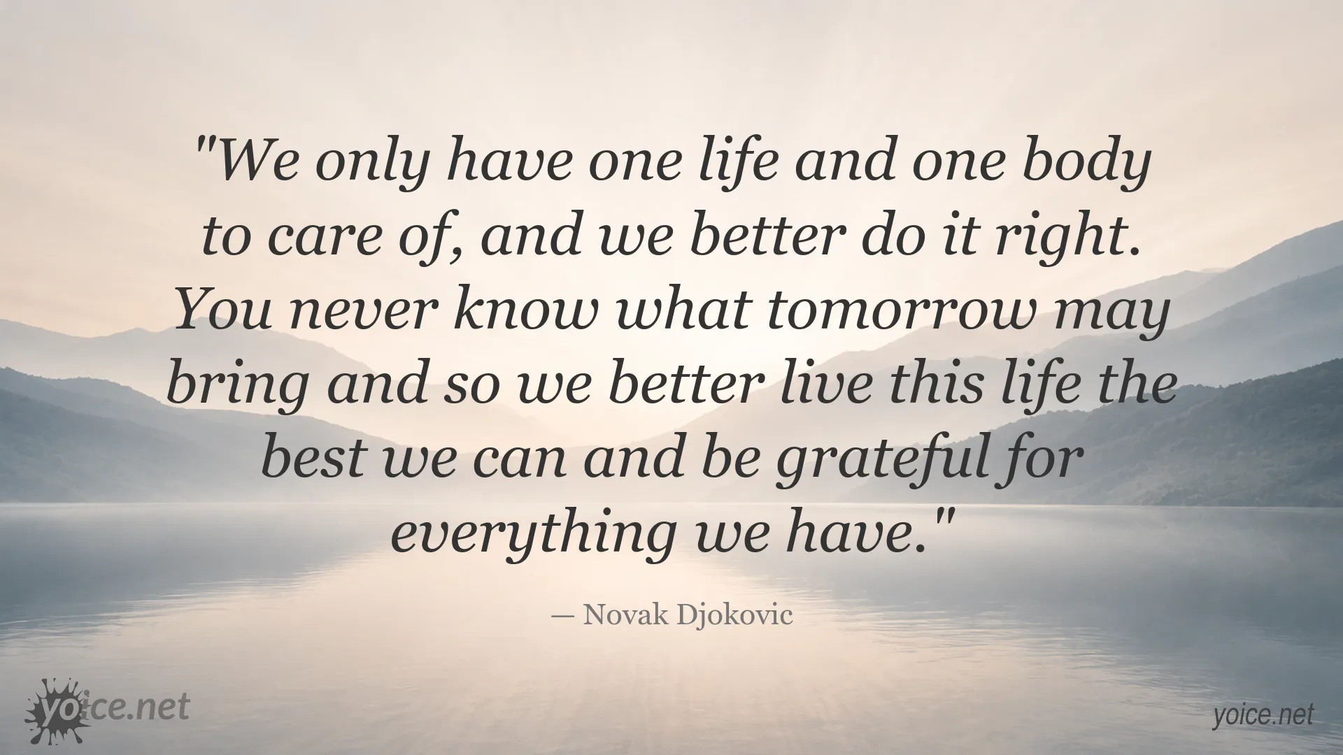 Life and gratitude quote image by Novak Djokovic