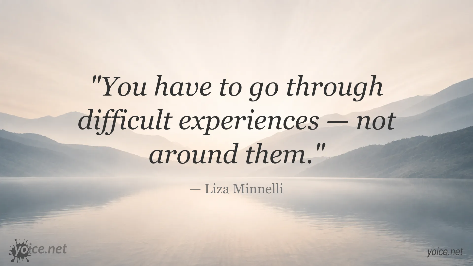 Quote by Liza Minnelli about going through difficult experiences