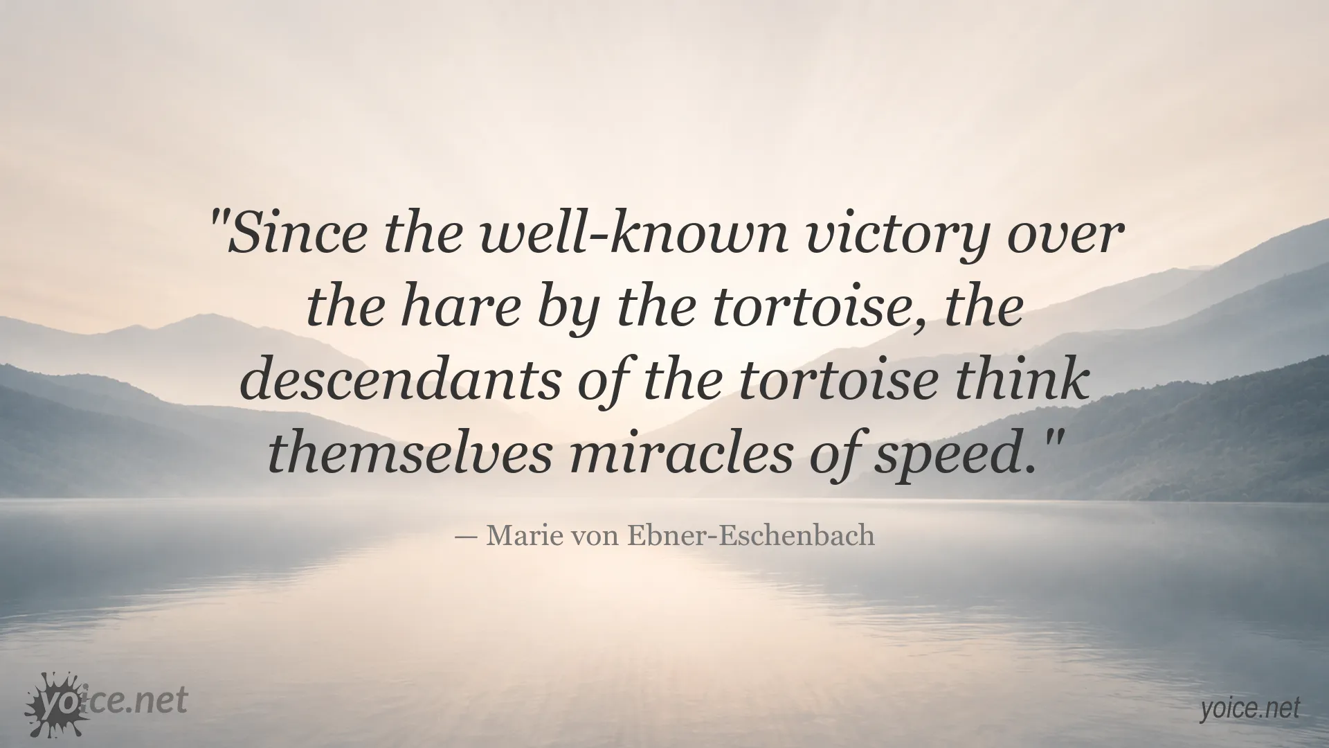 Quote image featuring Marie von Ebner-Eschenbach's perspective on overconfidence