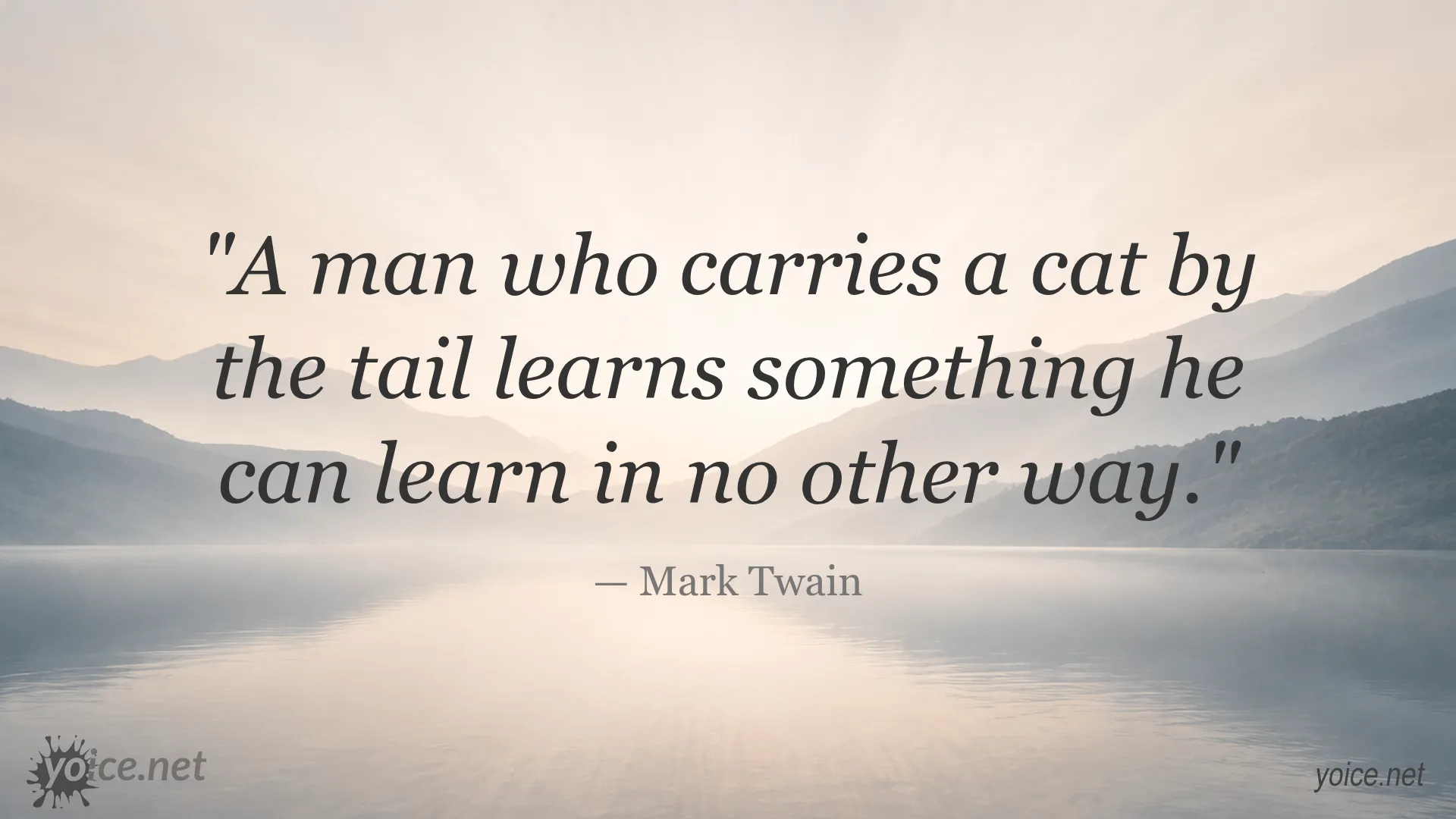 Mark Twain quote about learning through experience