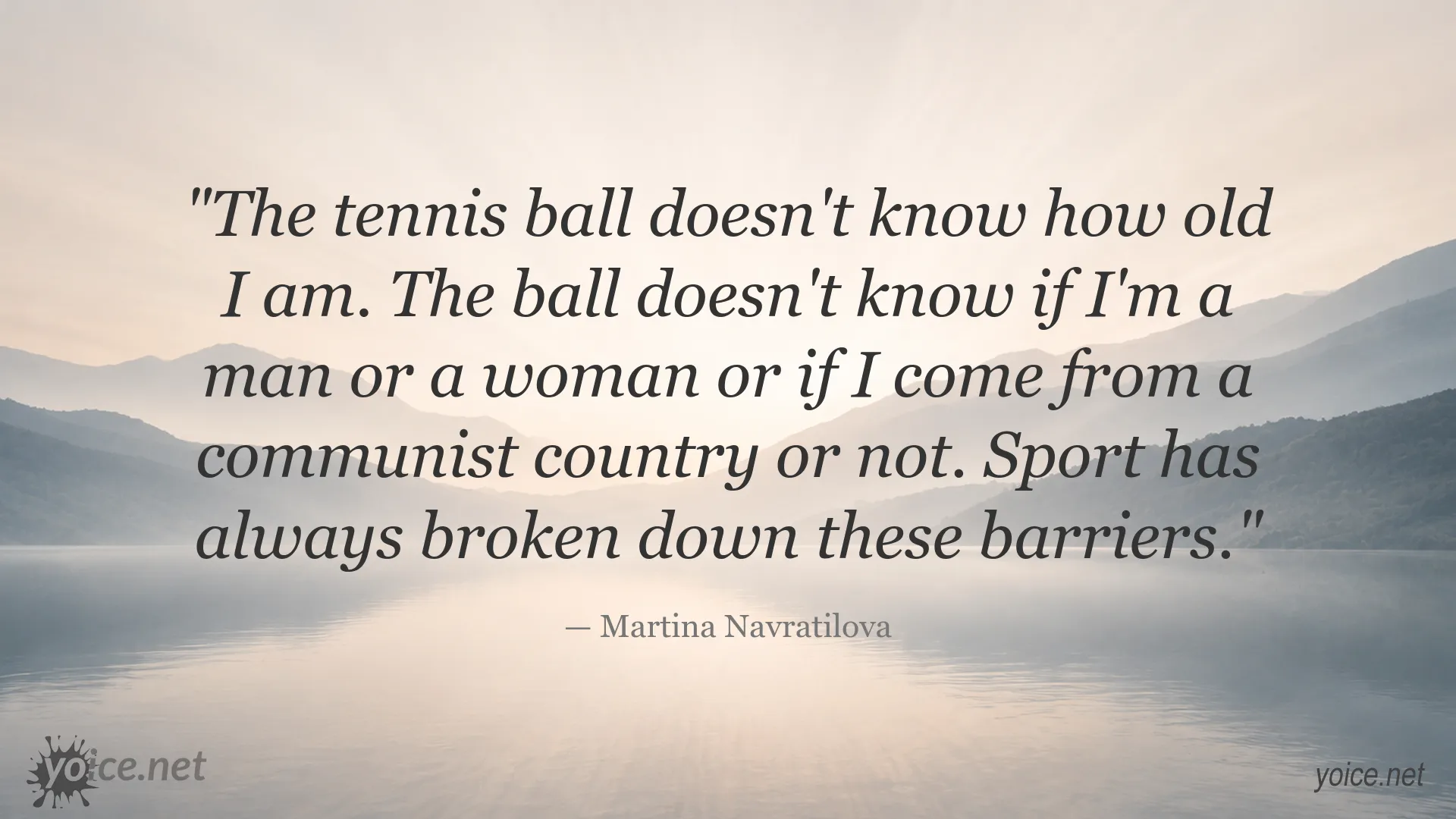 Martina Navratilova quote about sport breaking down social barriers