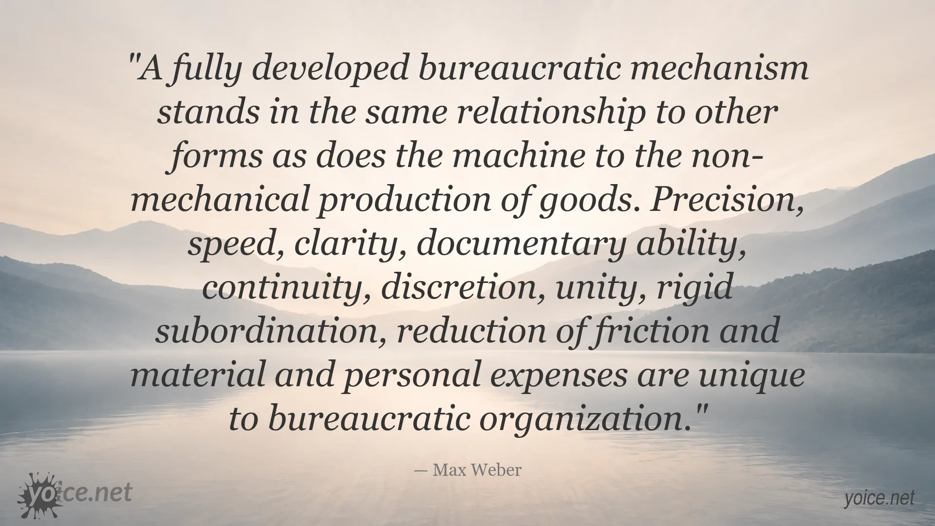 Max Weber quote about bureaucracy, precision, speed, clarity, and organizational efficiency