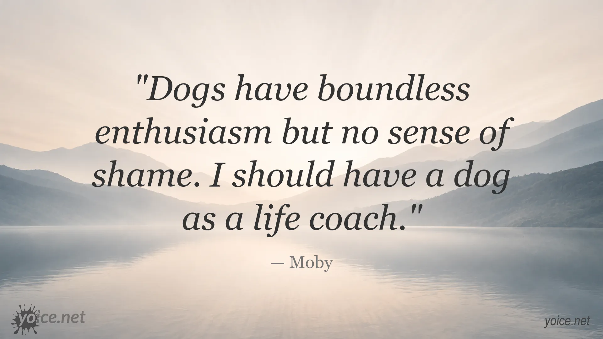 Inspirational quote image featuring Moby's perspective on dogs as life coaches