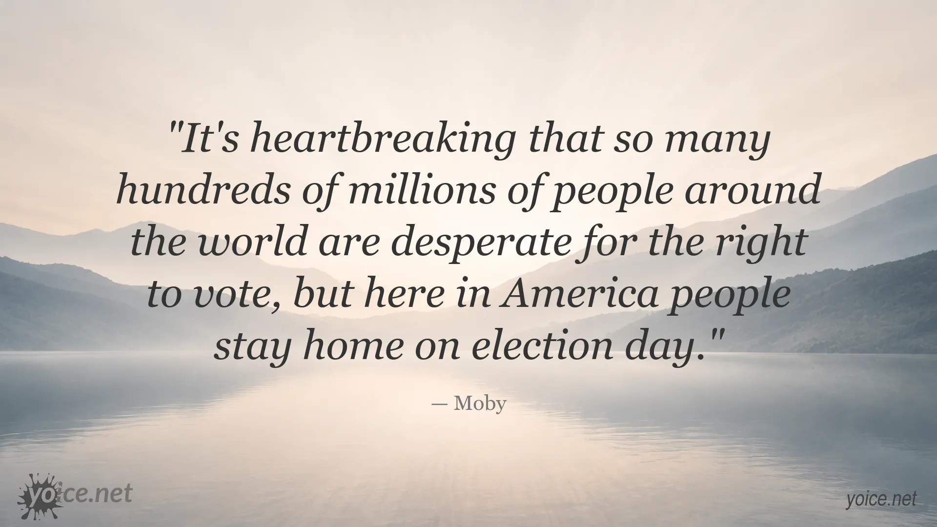 Moby quote about voting rights and voter participation