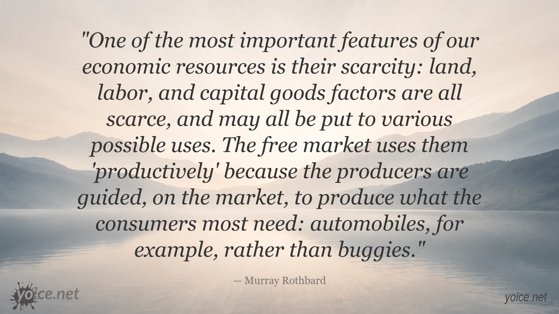 Murray Rothbard quote about scarcity, economic resources, and the free market