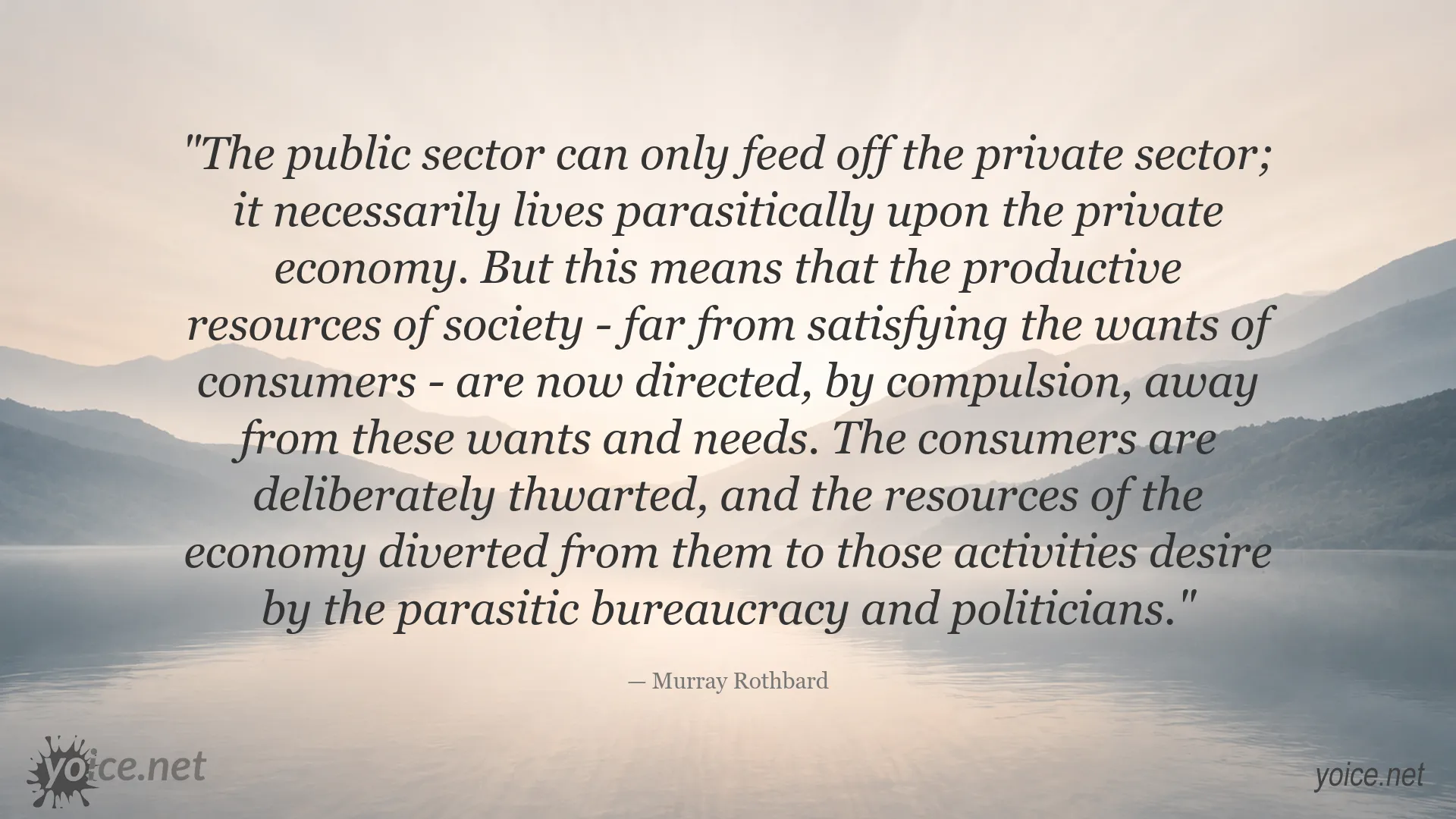 Quote image featuring Murray Rothbard's perspective on the state and private economy